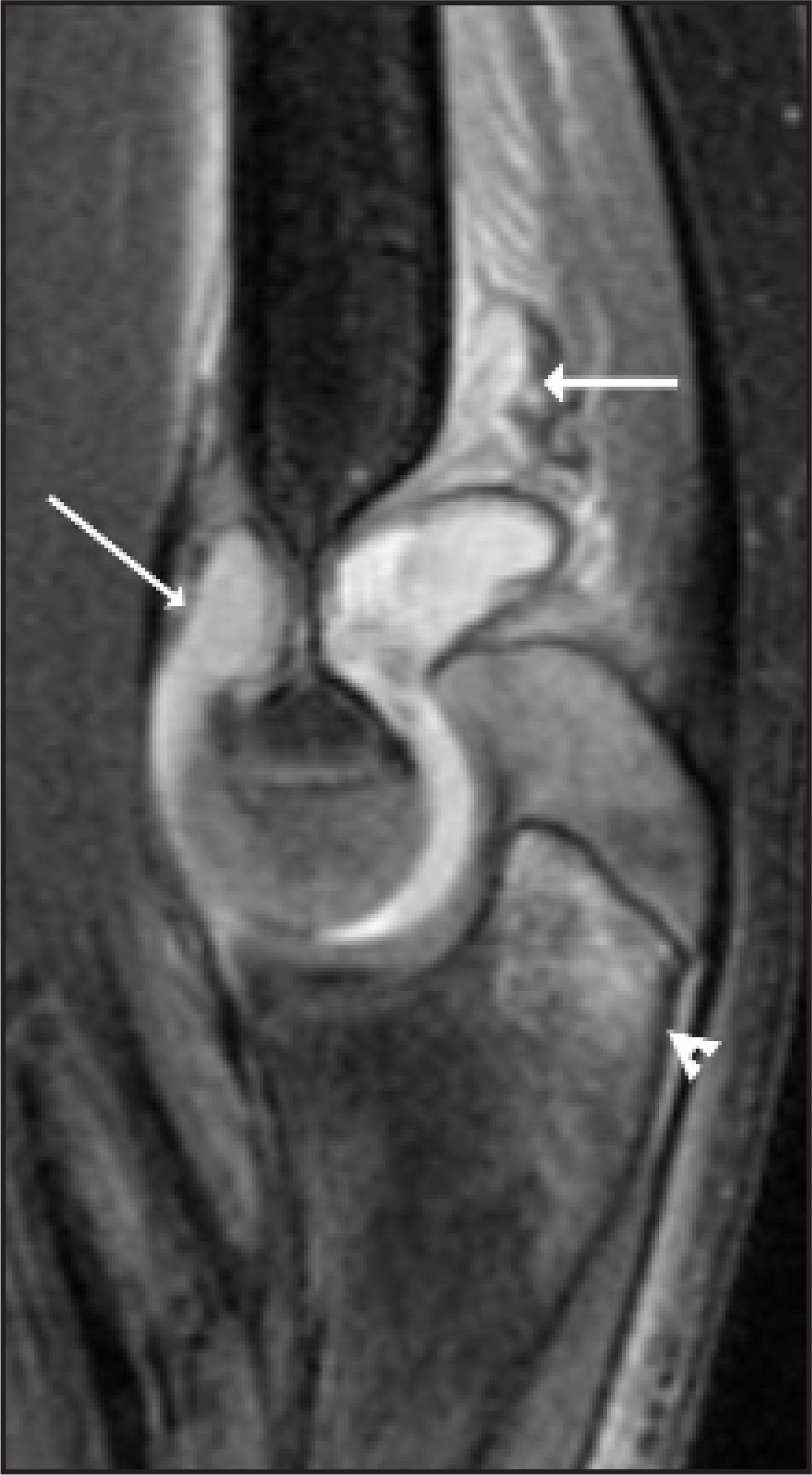 FIGURE 9.