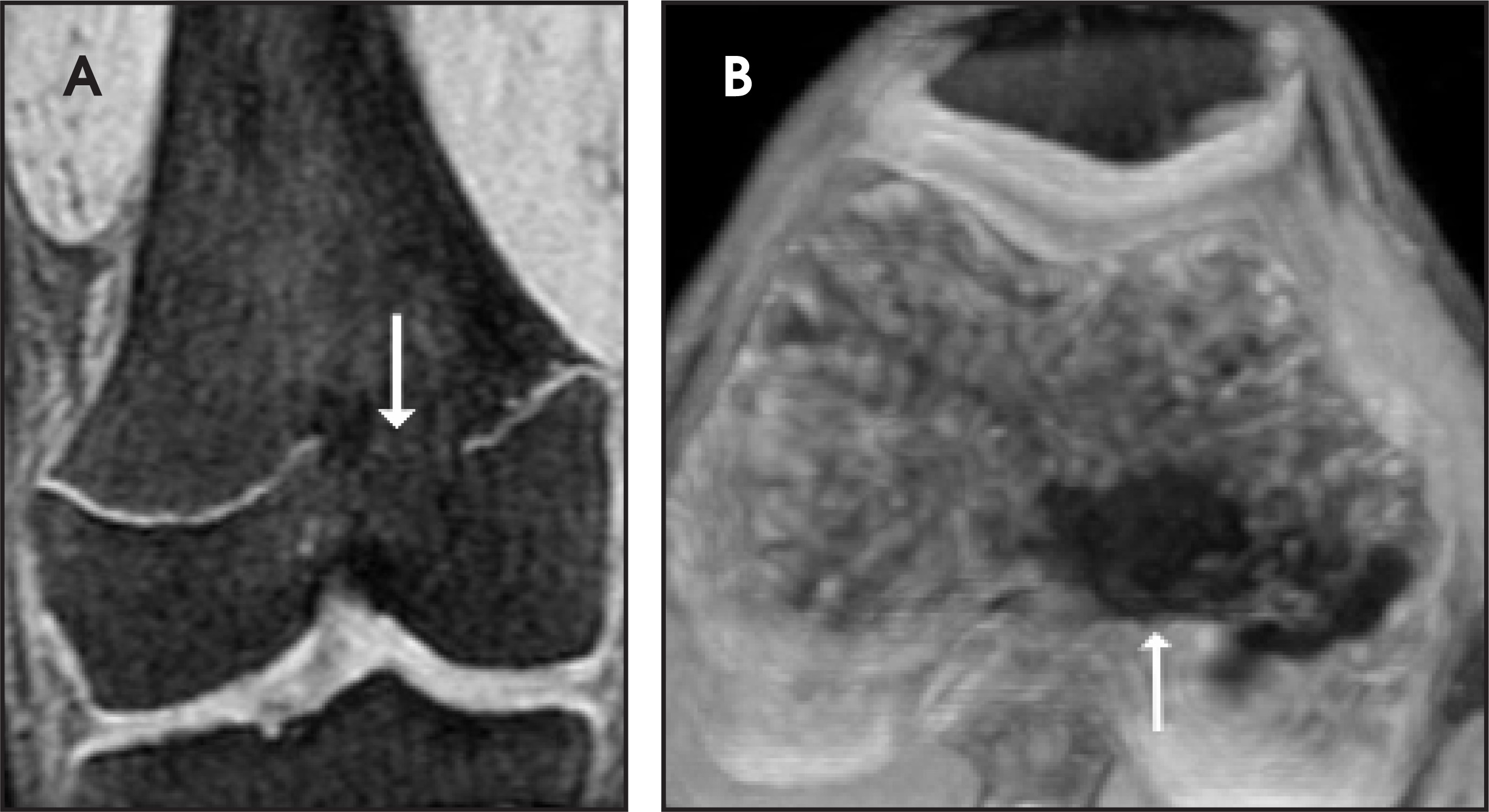 FIGURE 12.