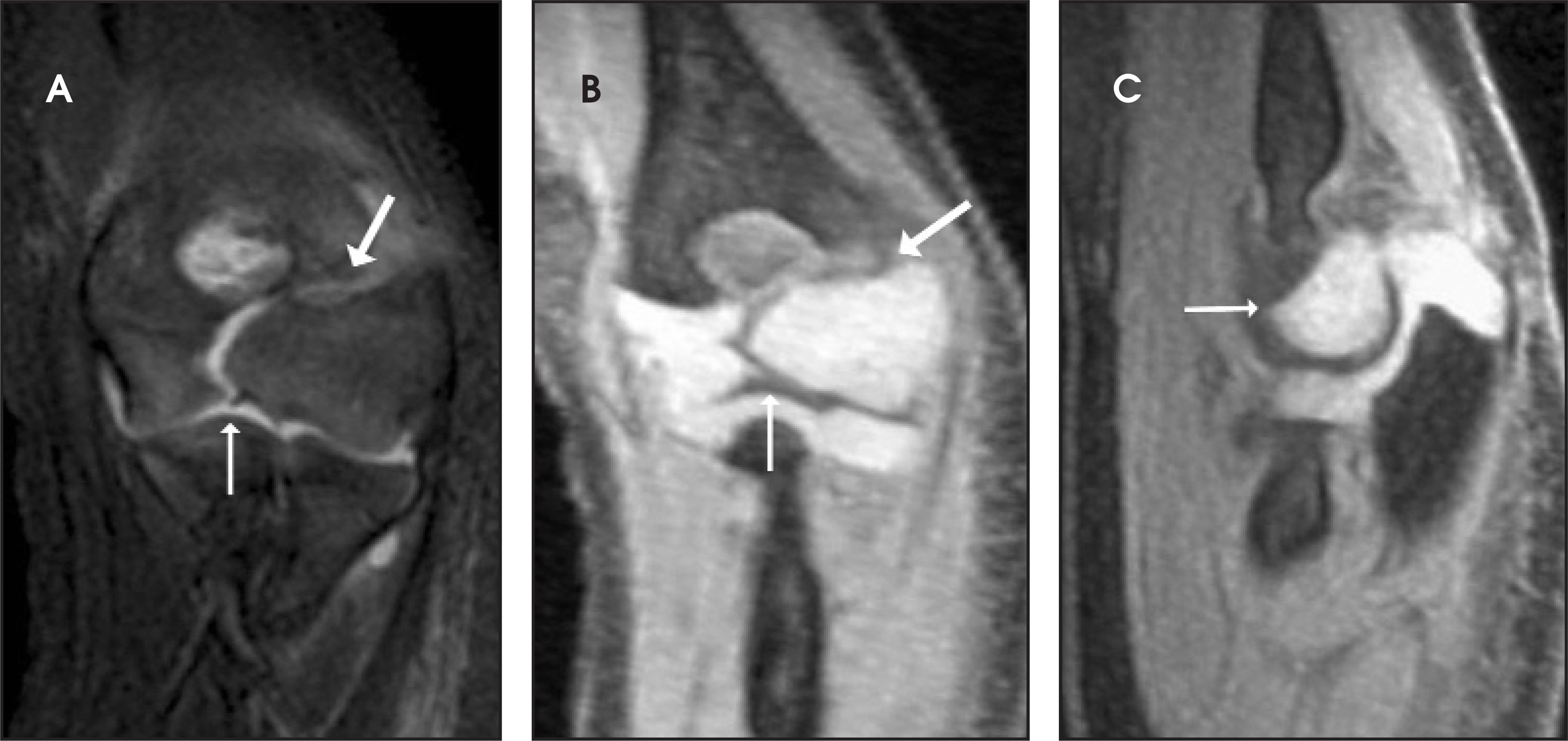 FIGURE 14.