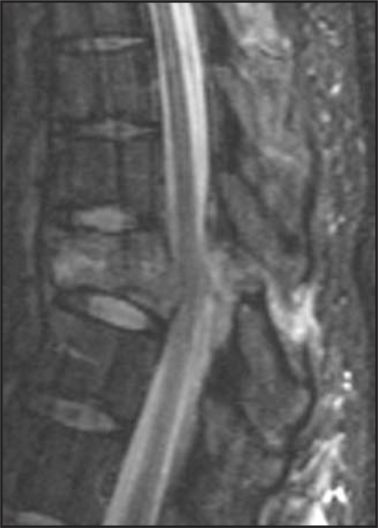 FIGURE 12.