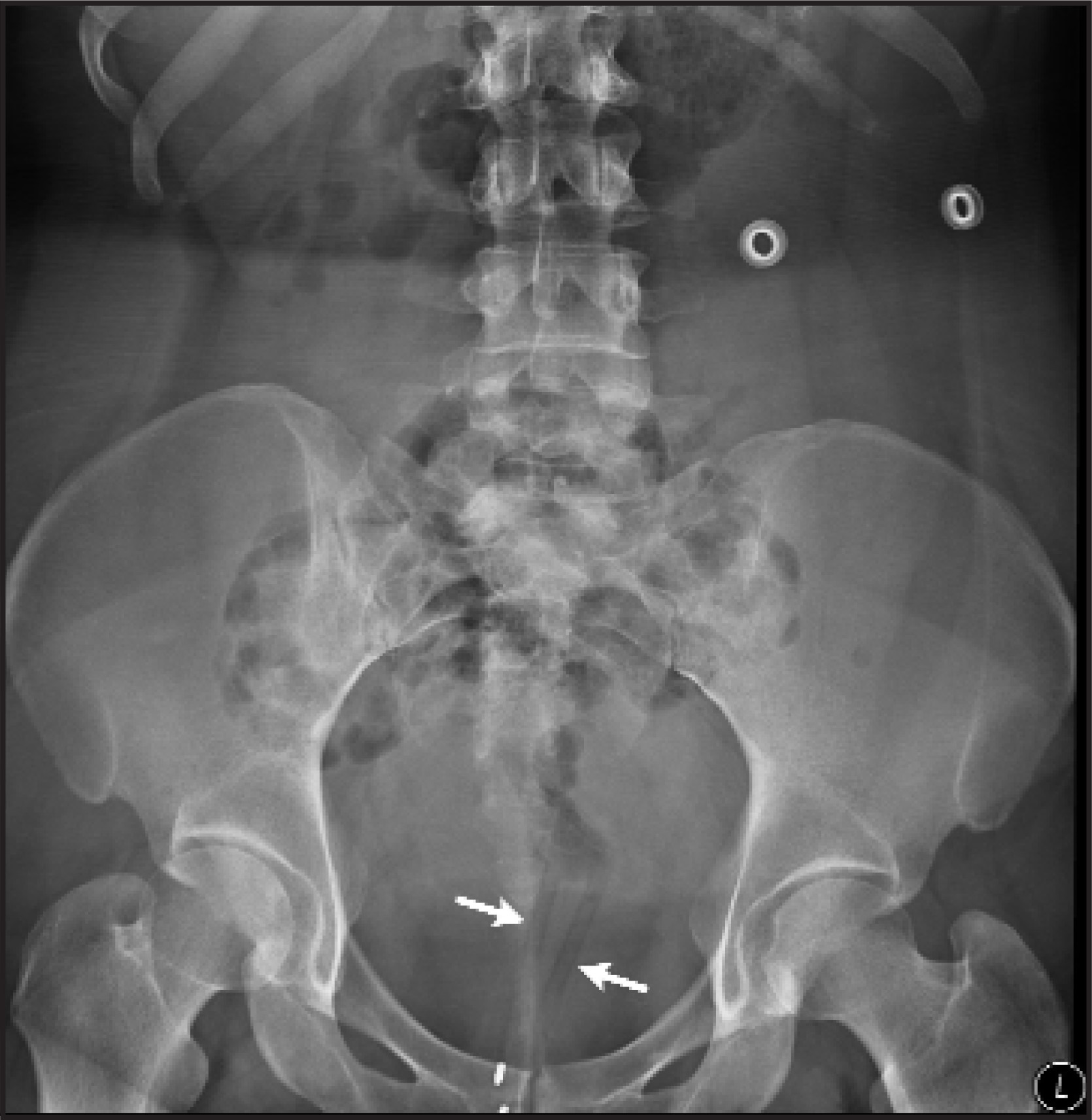 FIGURE 1.