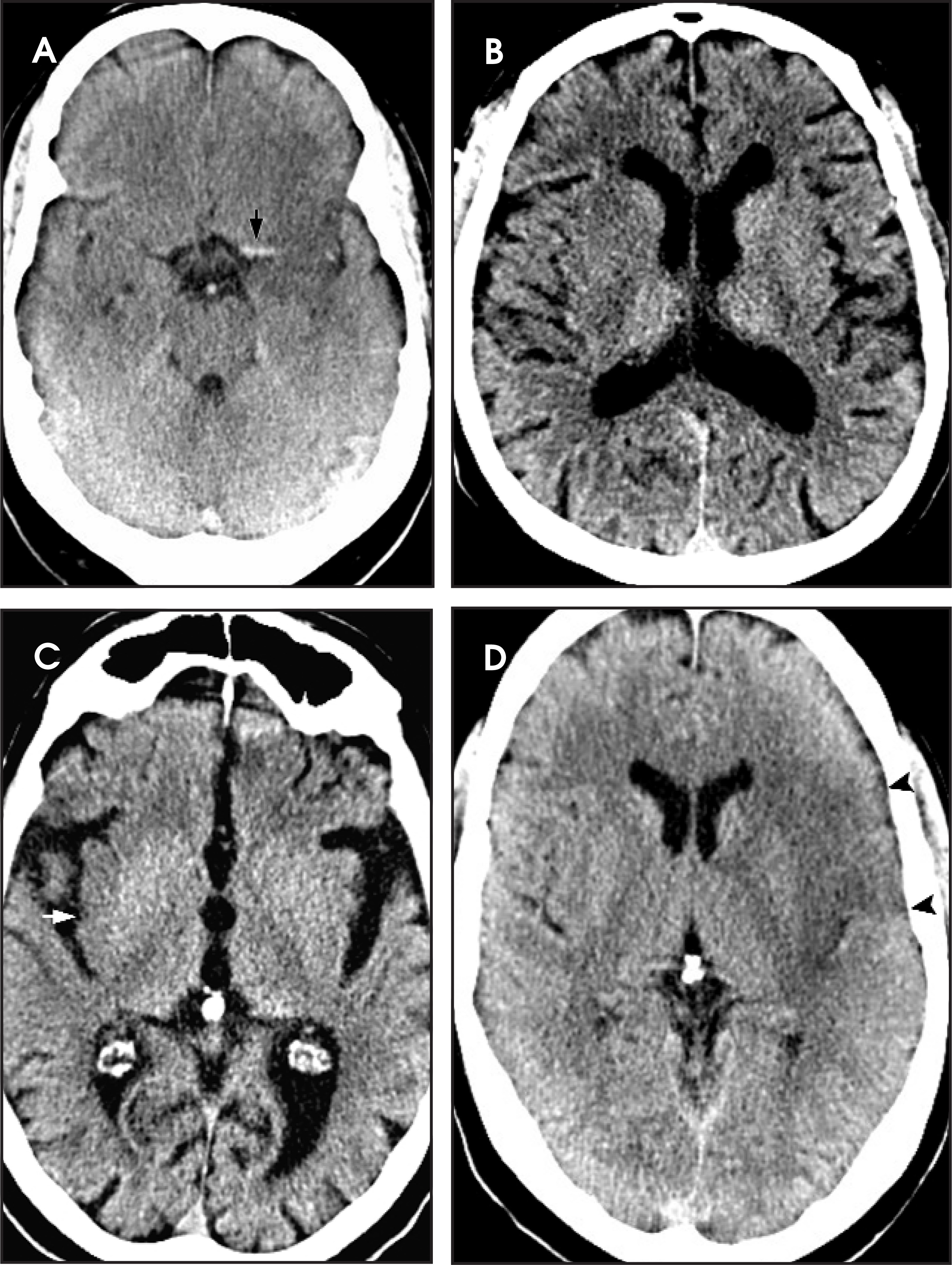 FIGURE 1.