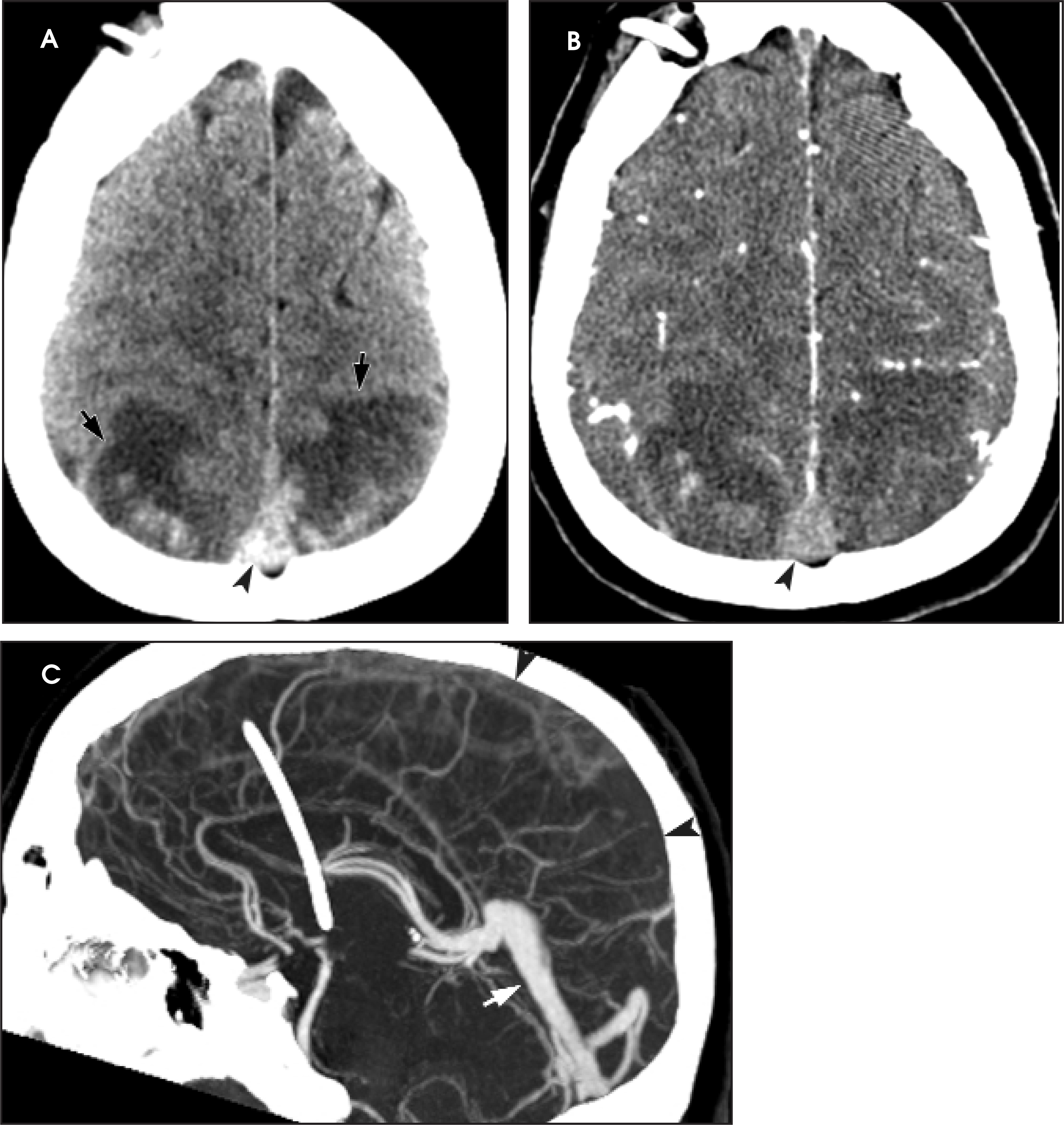 FIGURE 10.