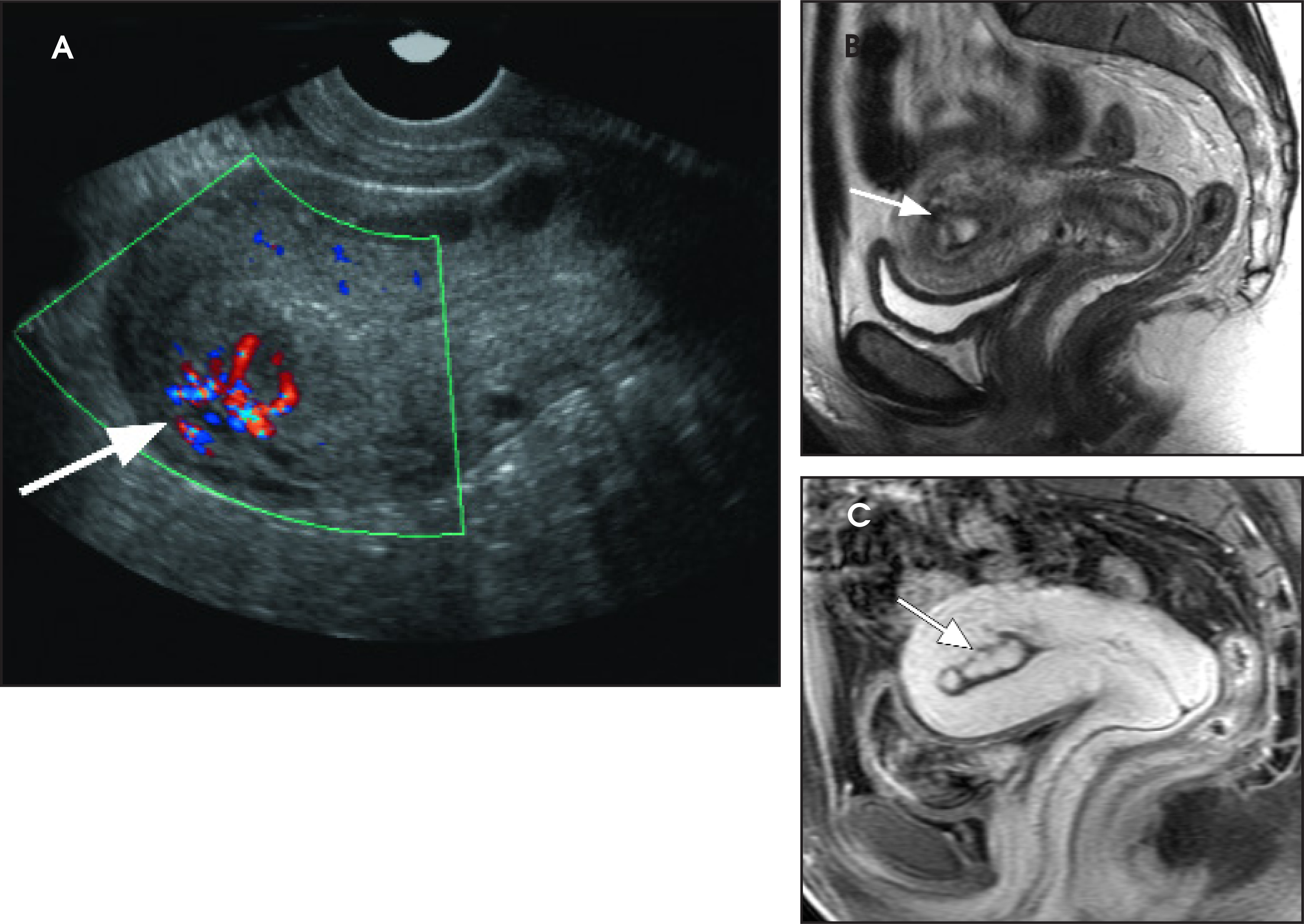 FIGURE 10.