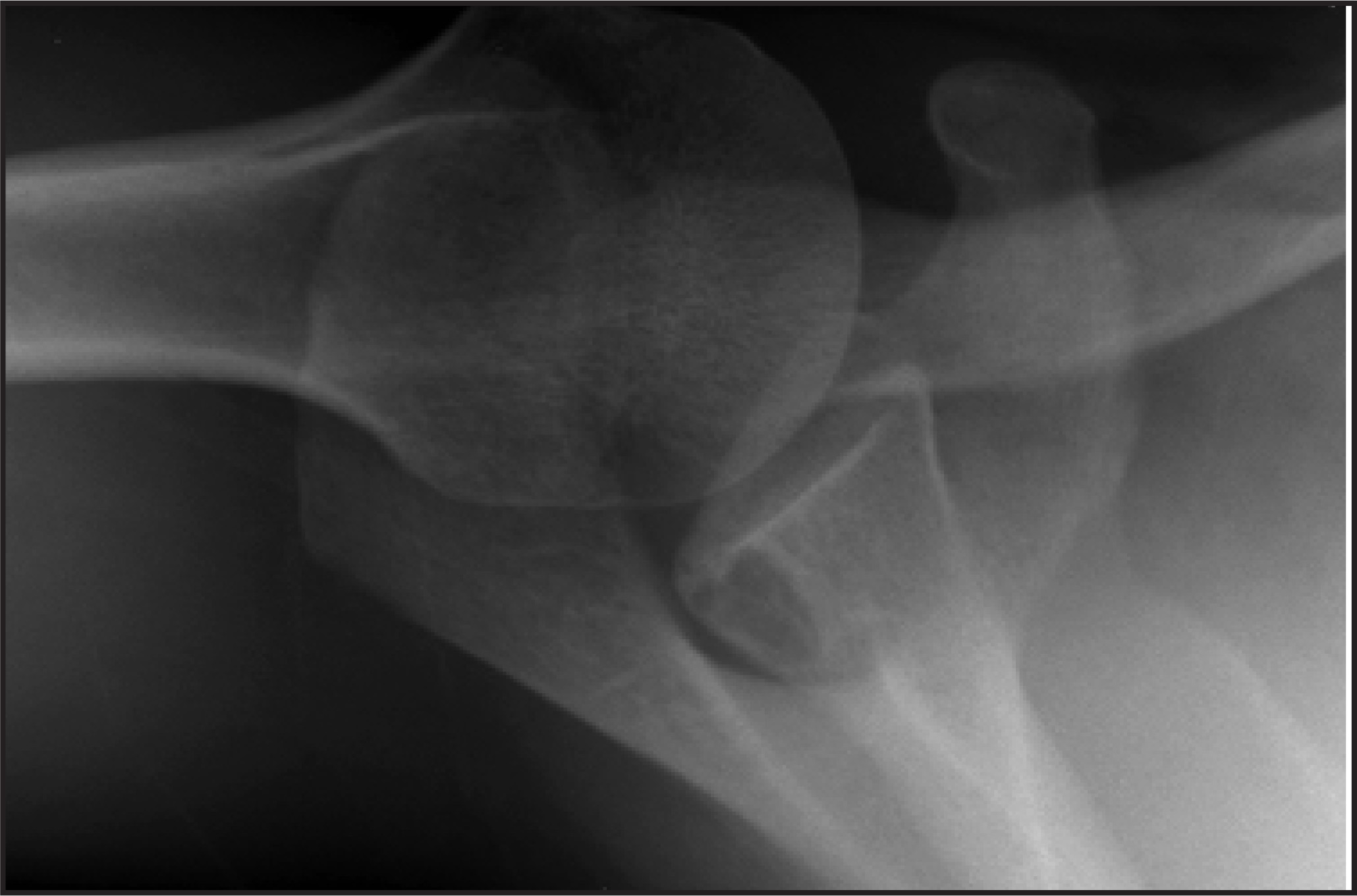 FIGURE 1.