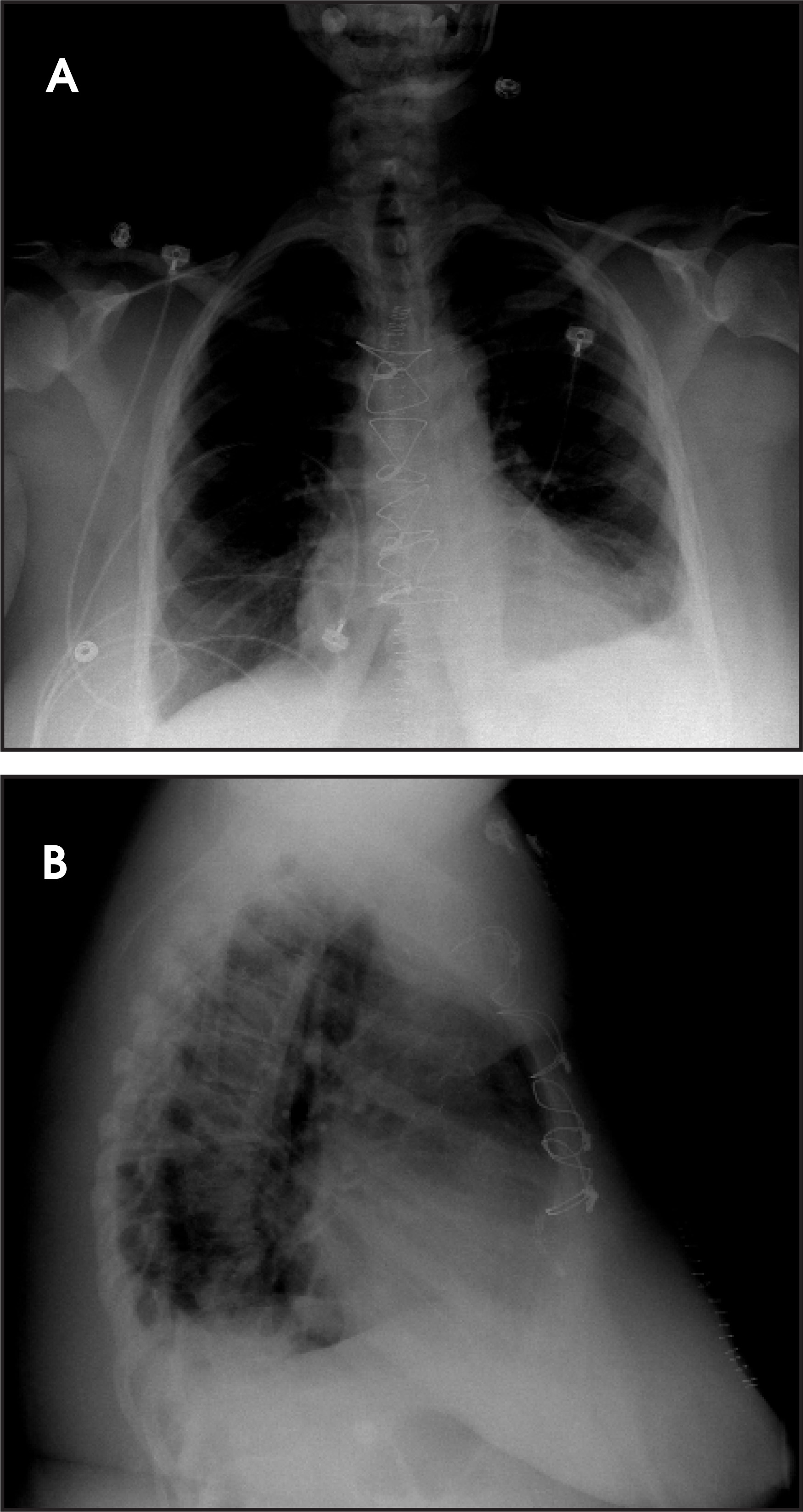 FIGURE 4.