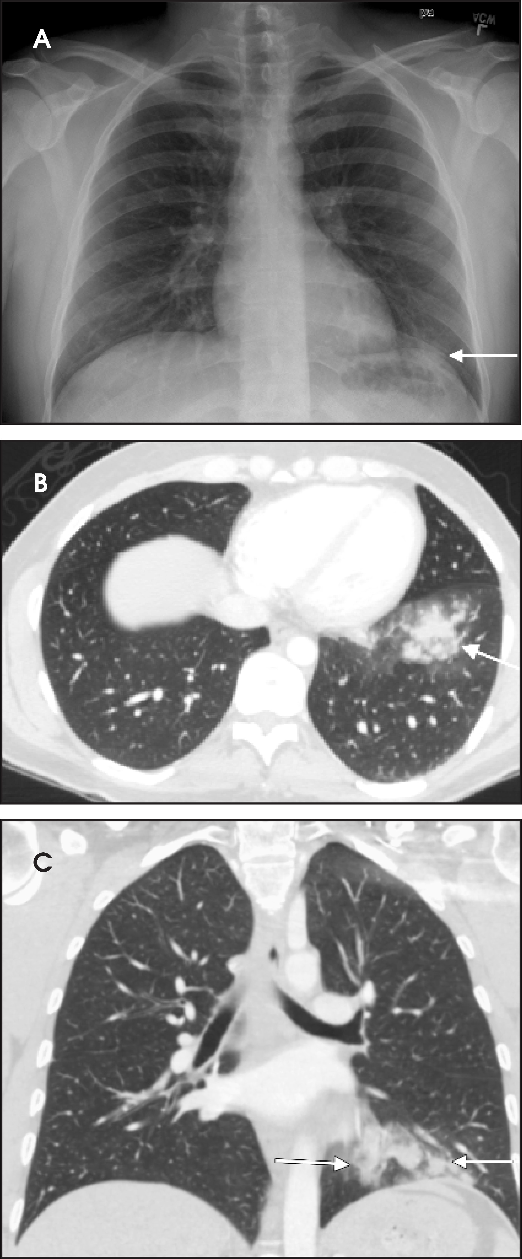 FIGURE 24.