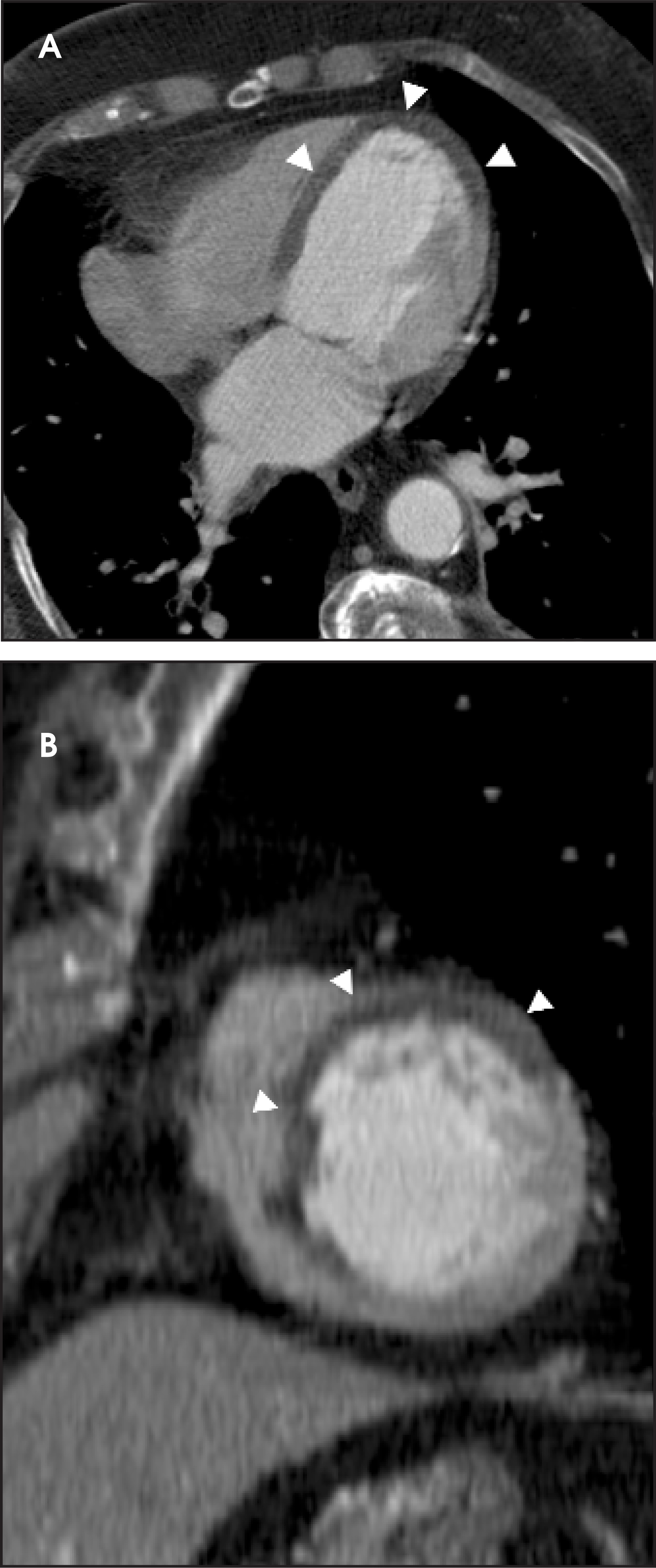 FIGURE 25.