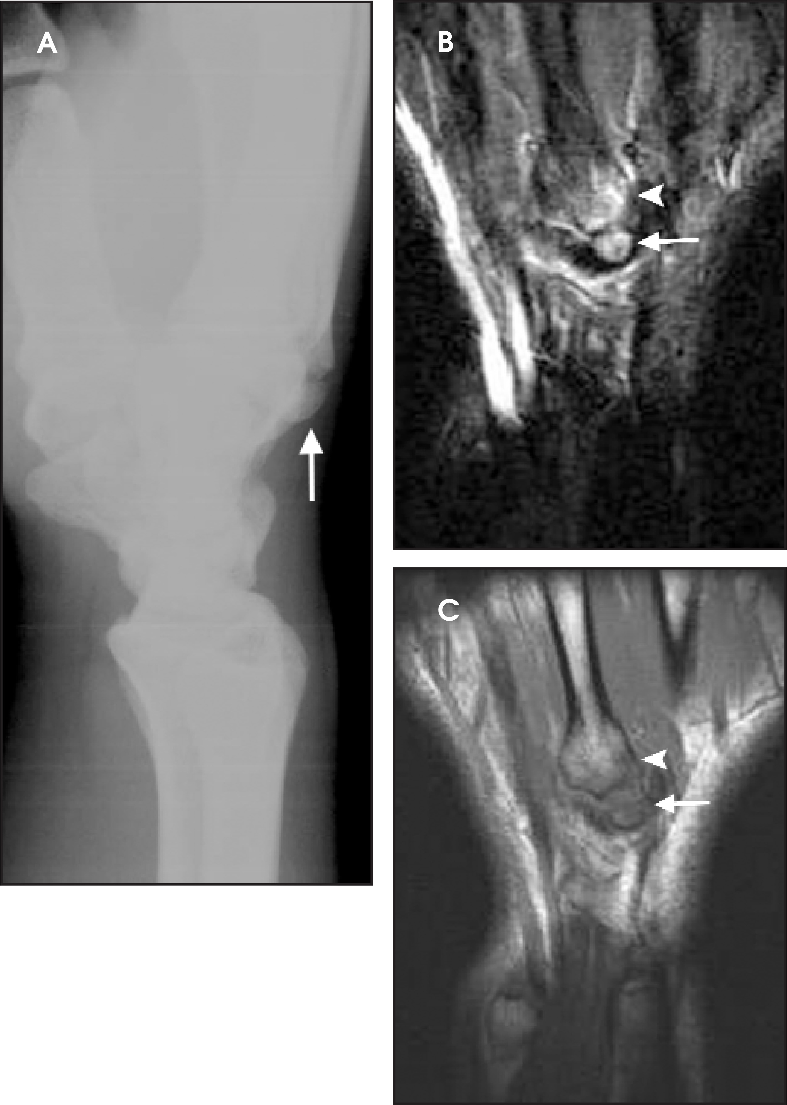 FIGURE 2.