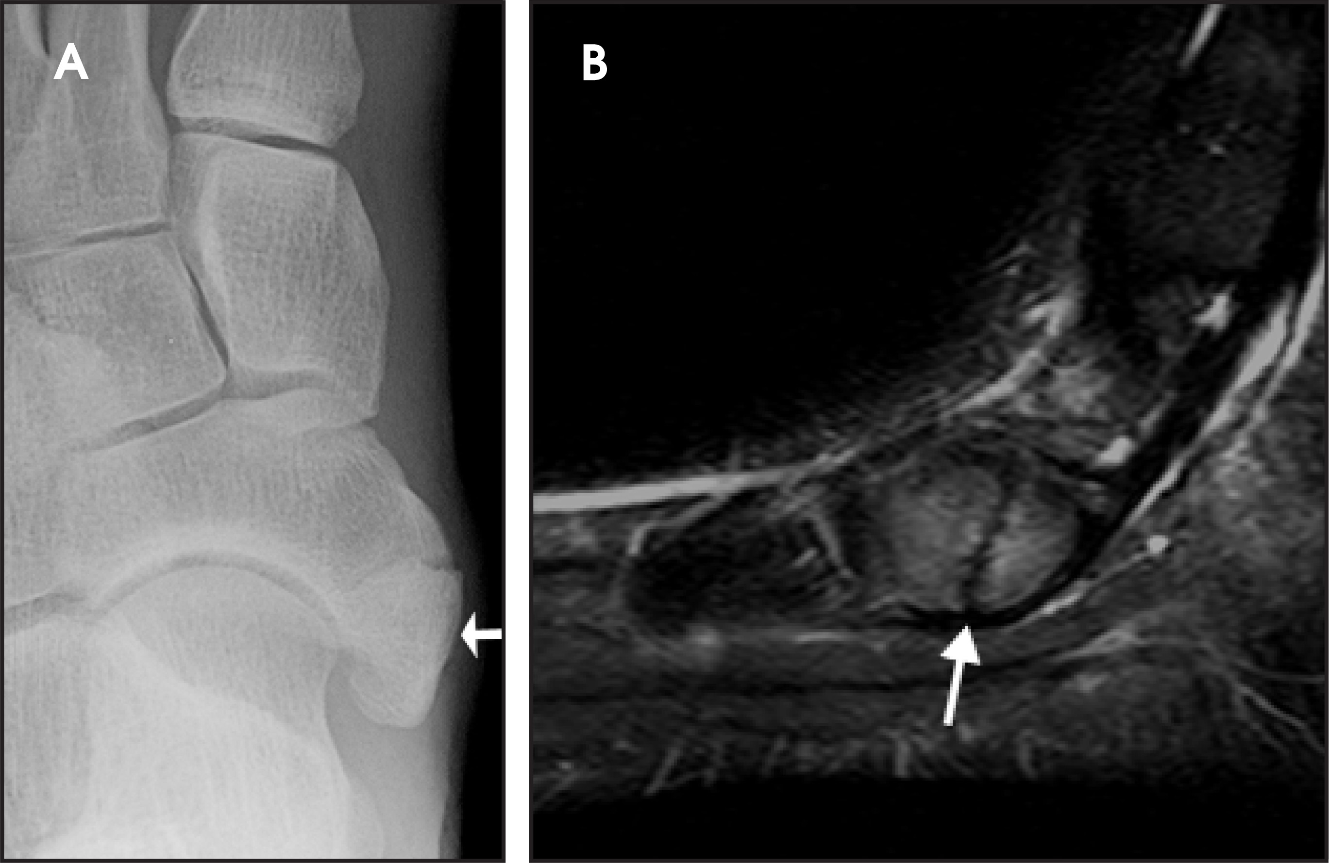 FIGURE 10.