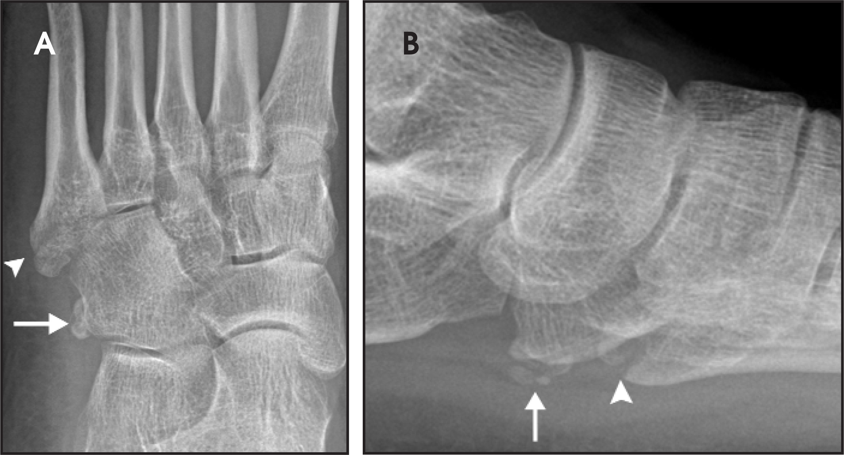 FIGURE 12.