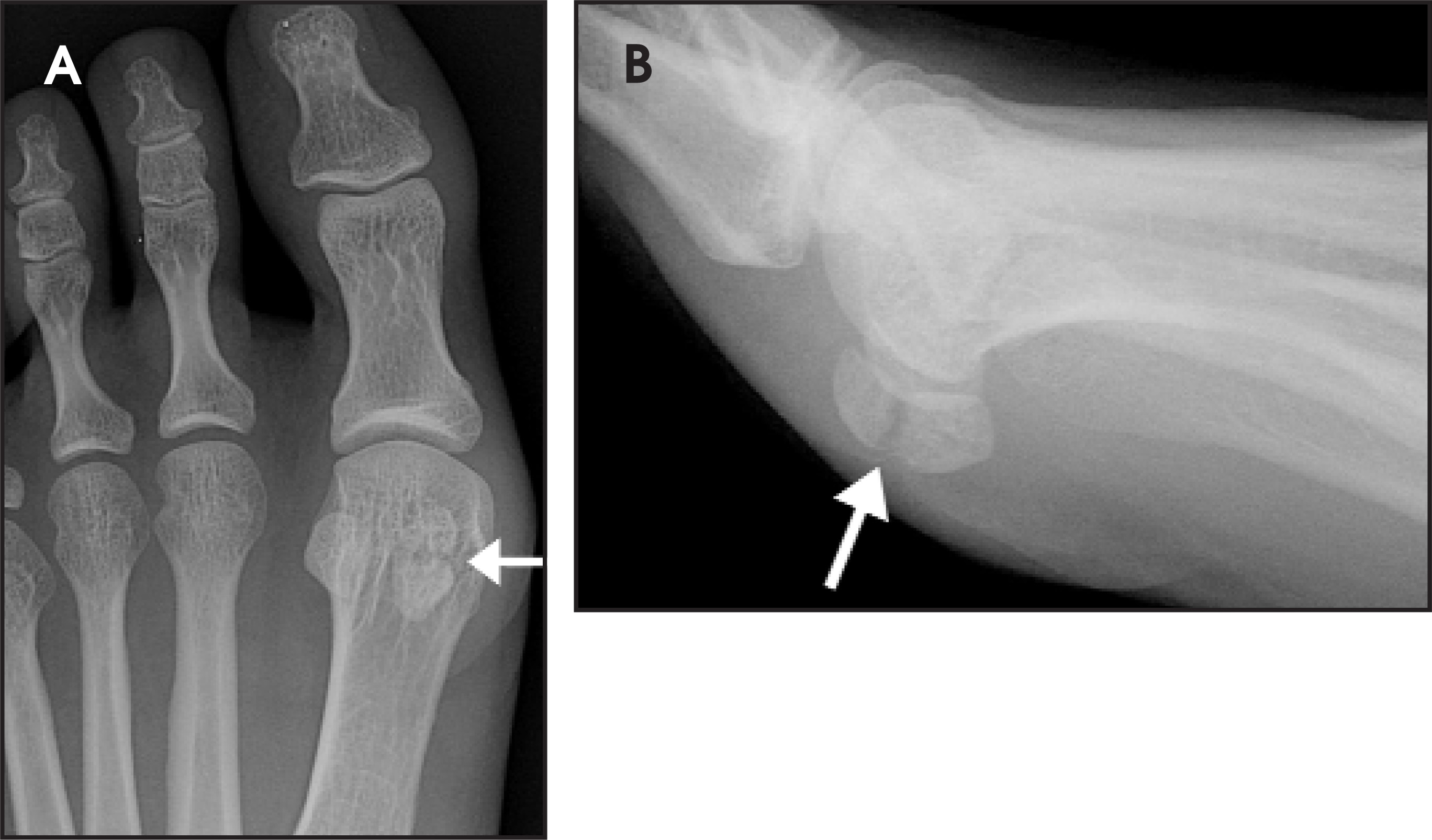 FIGURE 14.