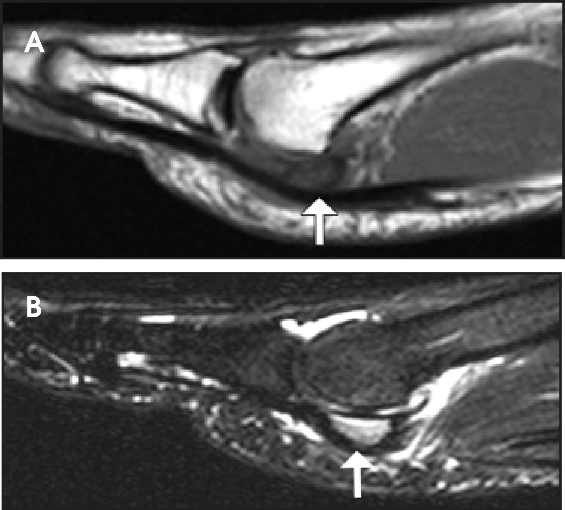 FIGURE 15.
