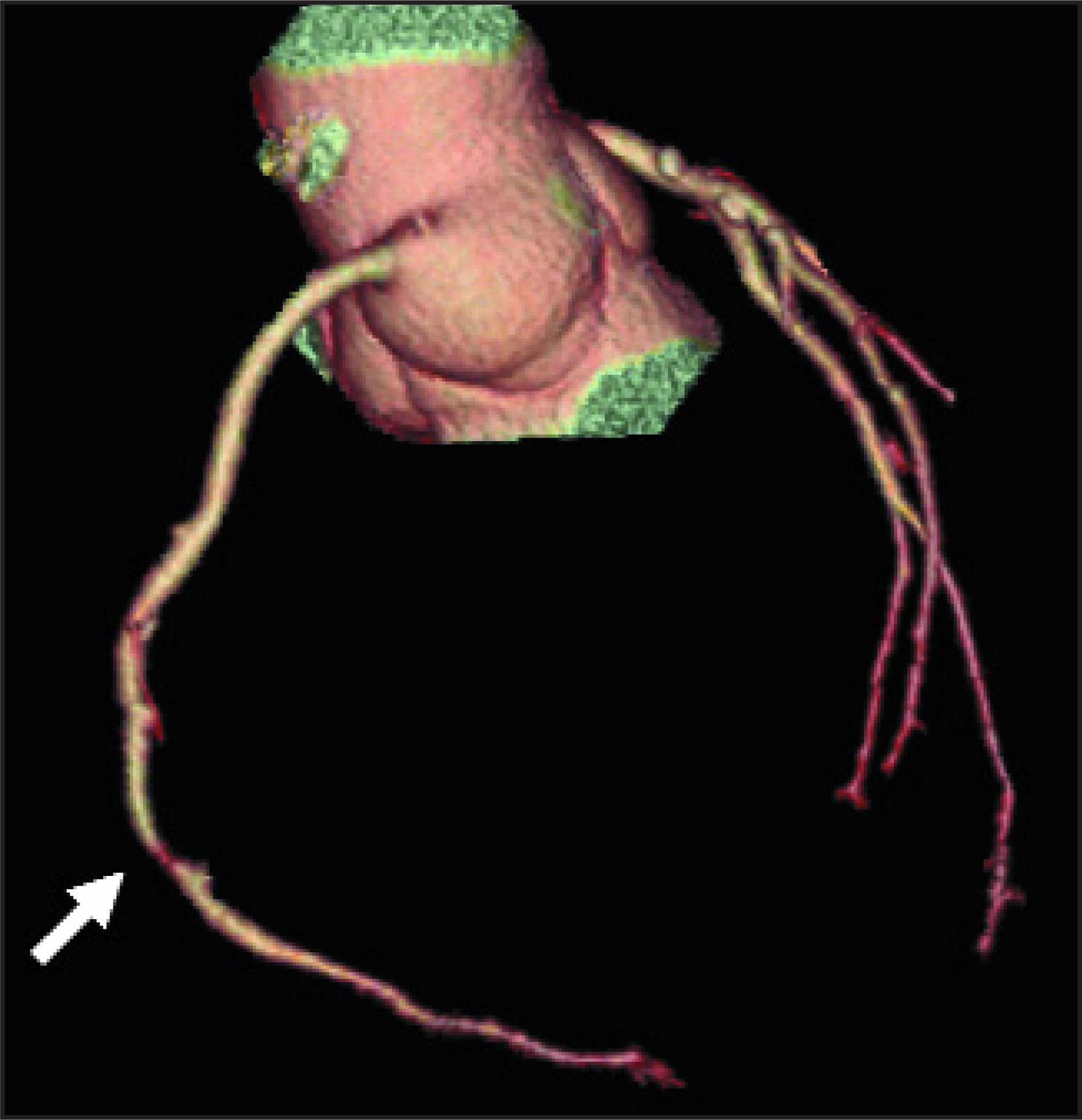 FIGURE 1.