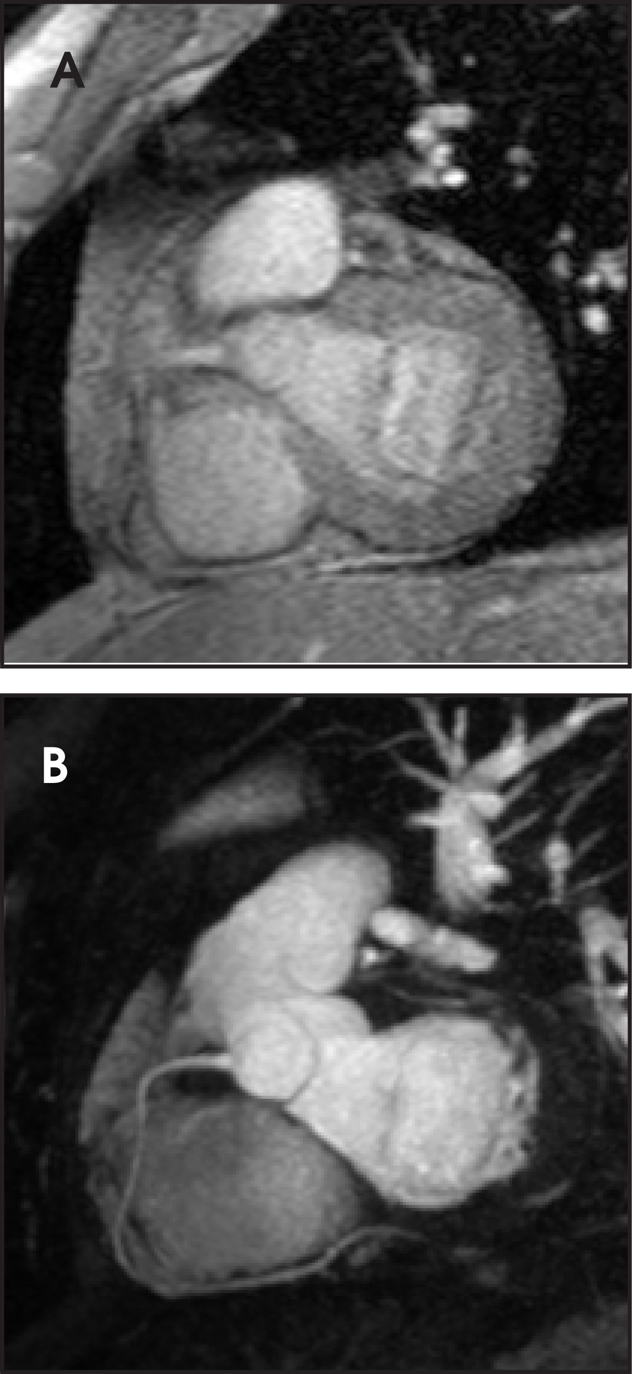 FIGURE 11.