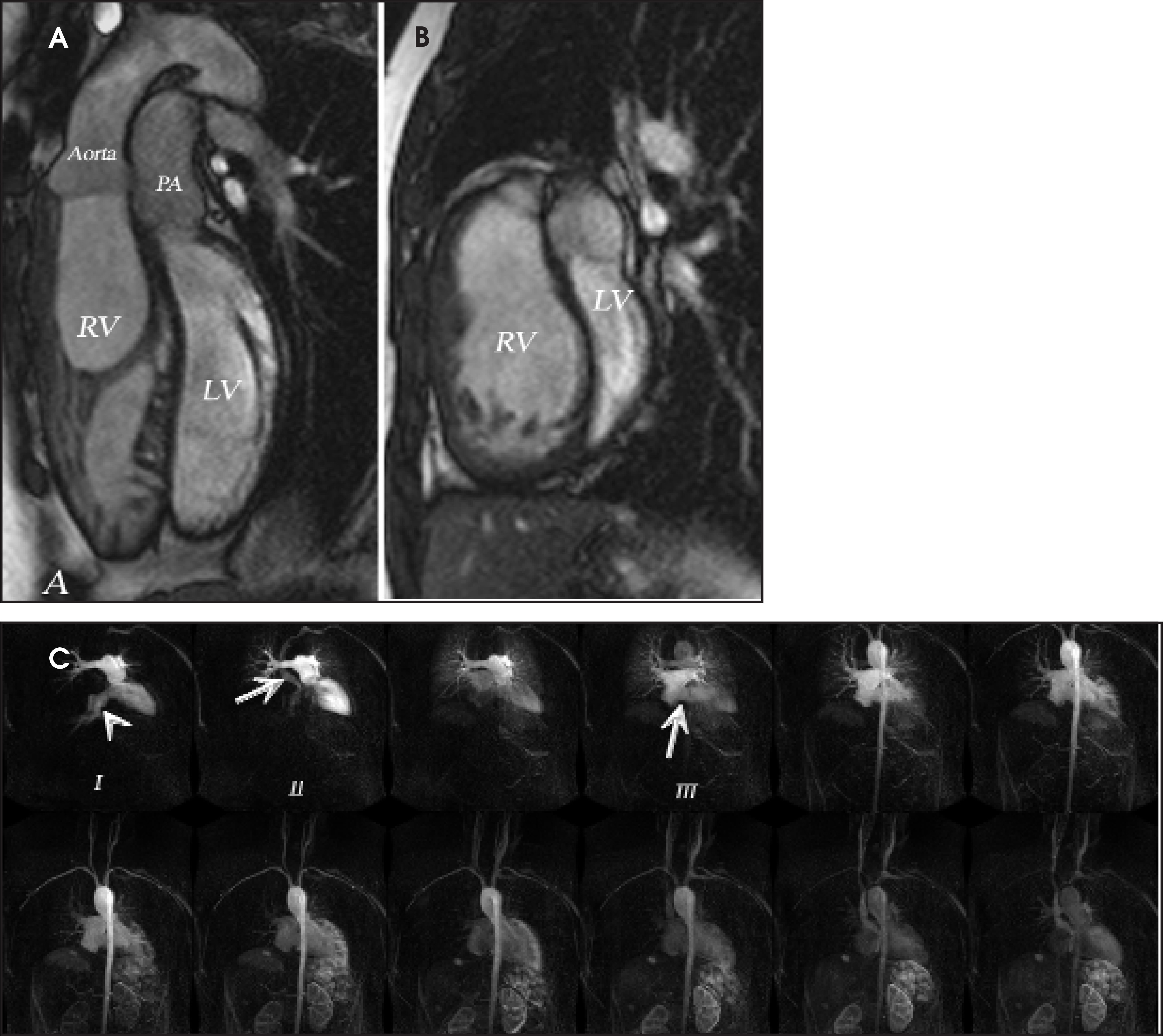 FIGURE 12.