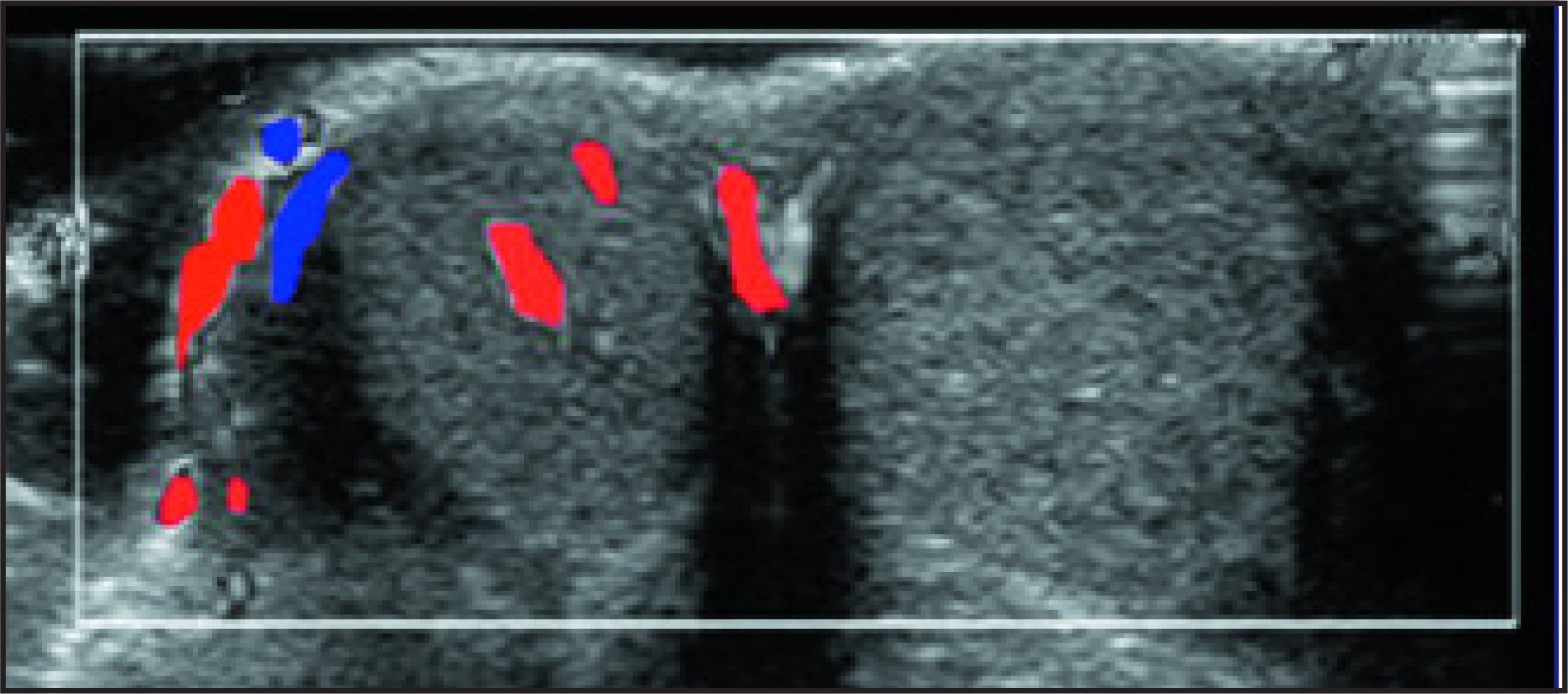 FIGURE 15.