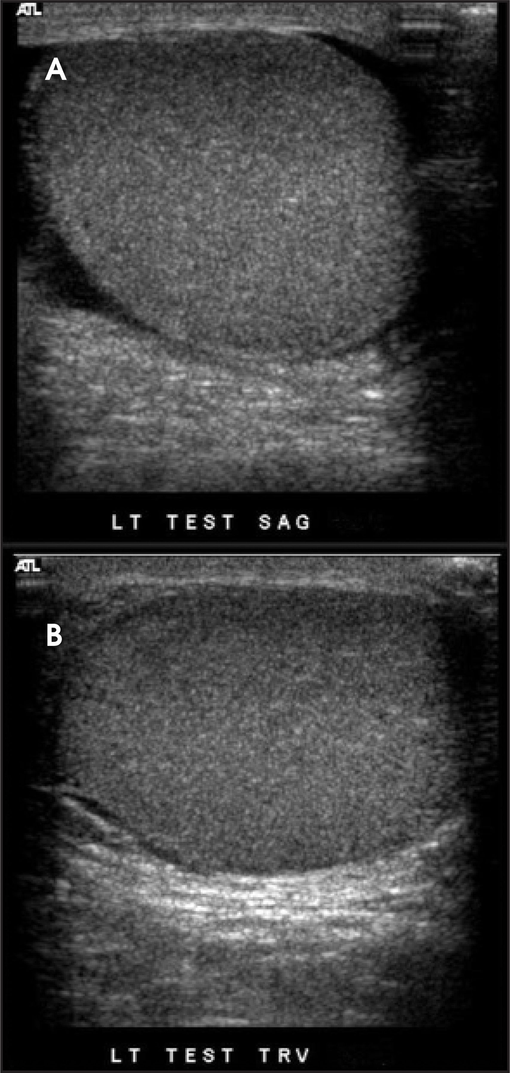 FIGURE 16.