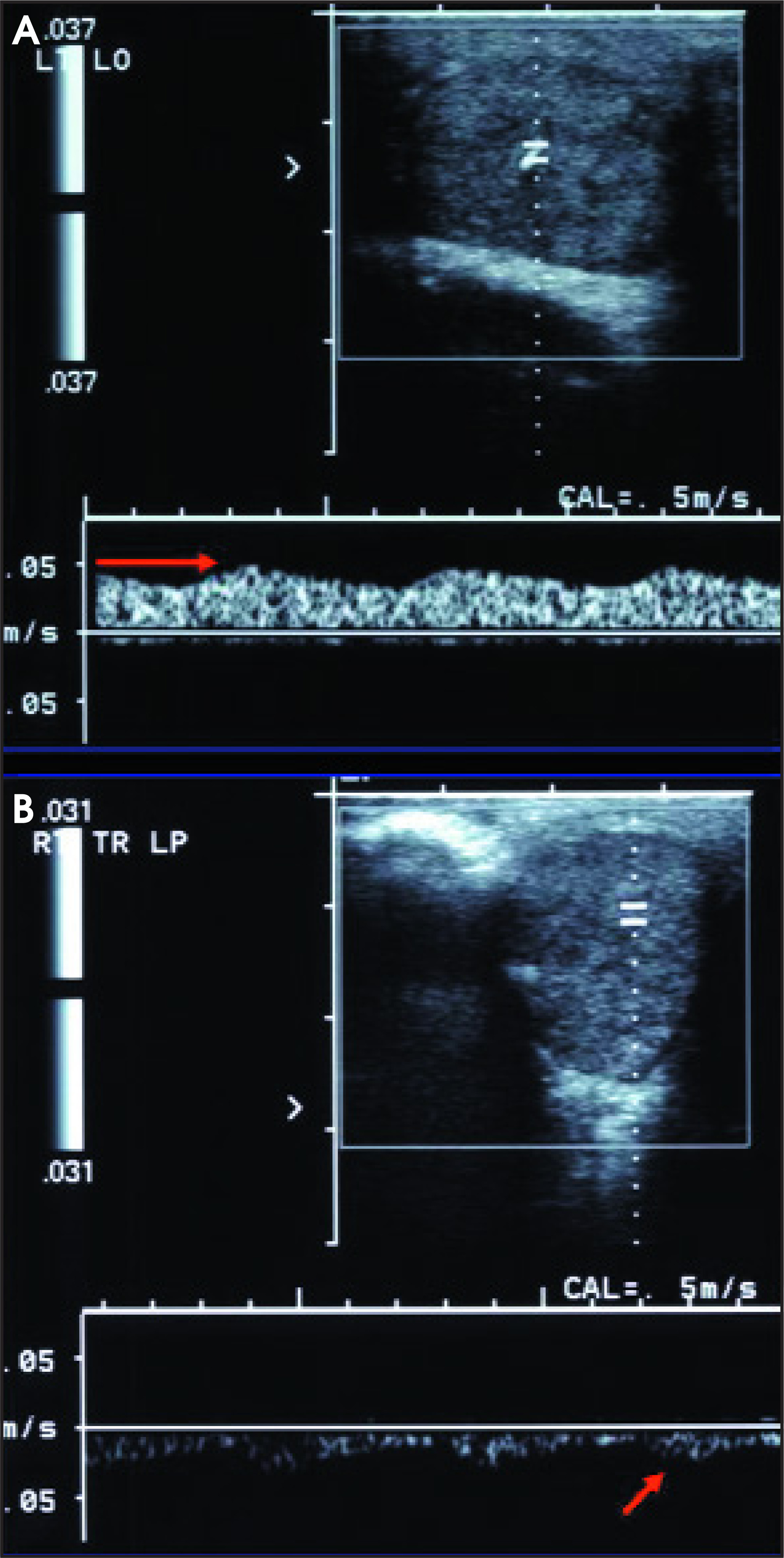 FIGURE 19.