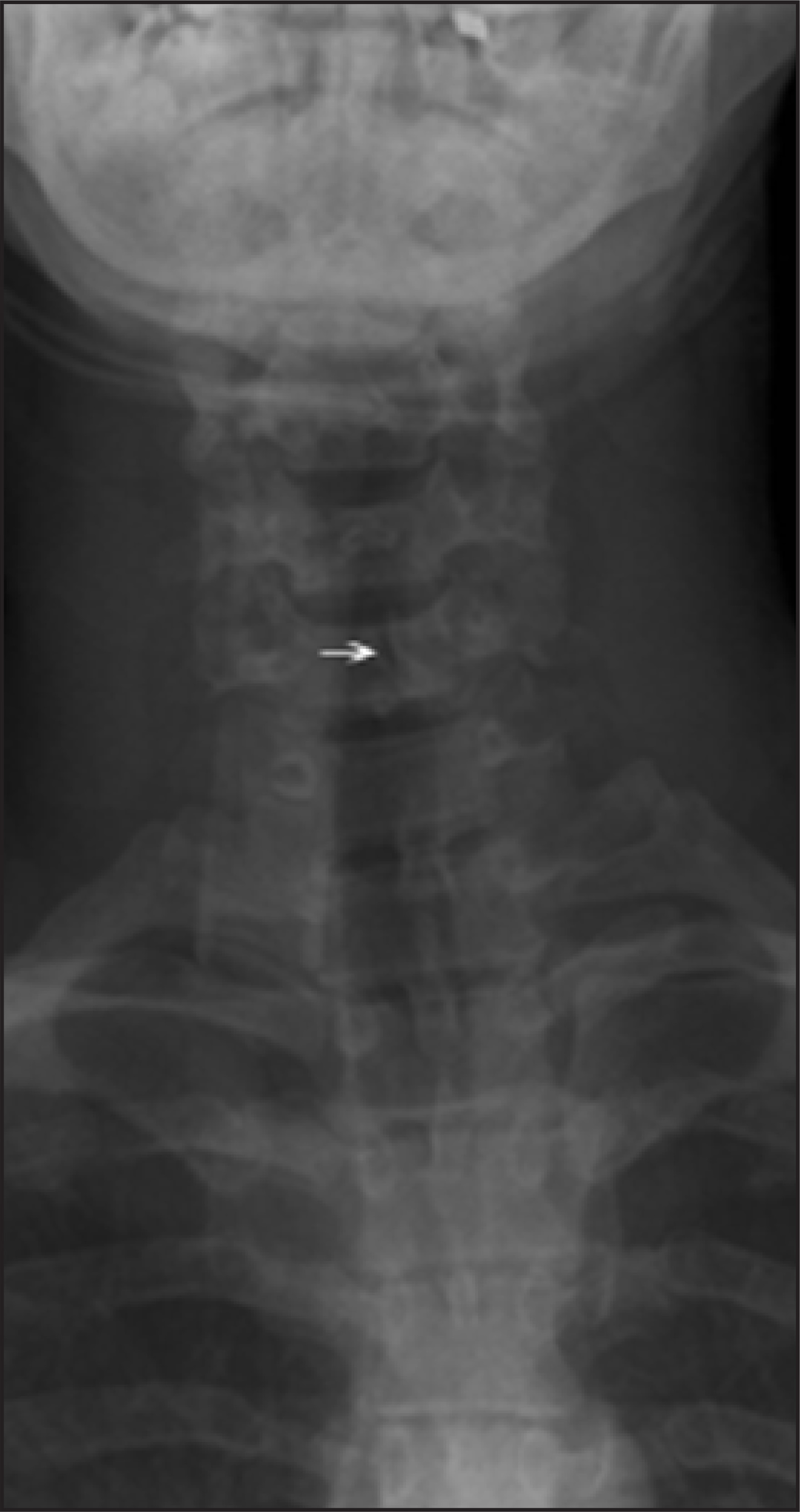 FIGURE 2.