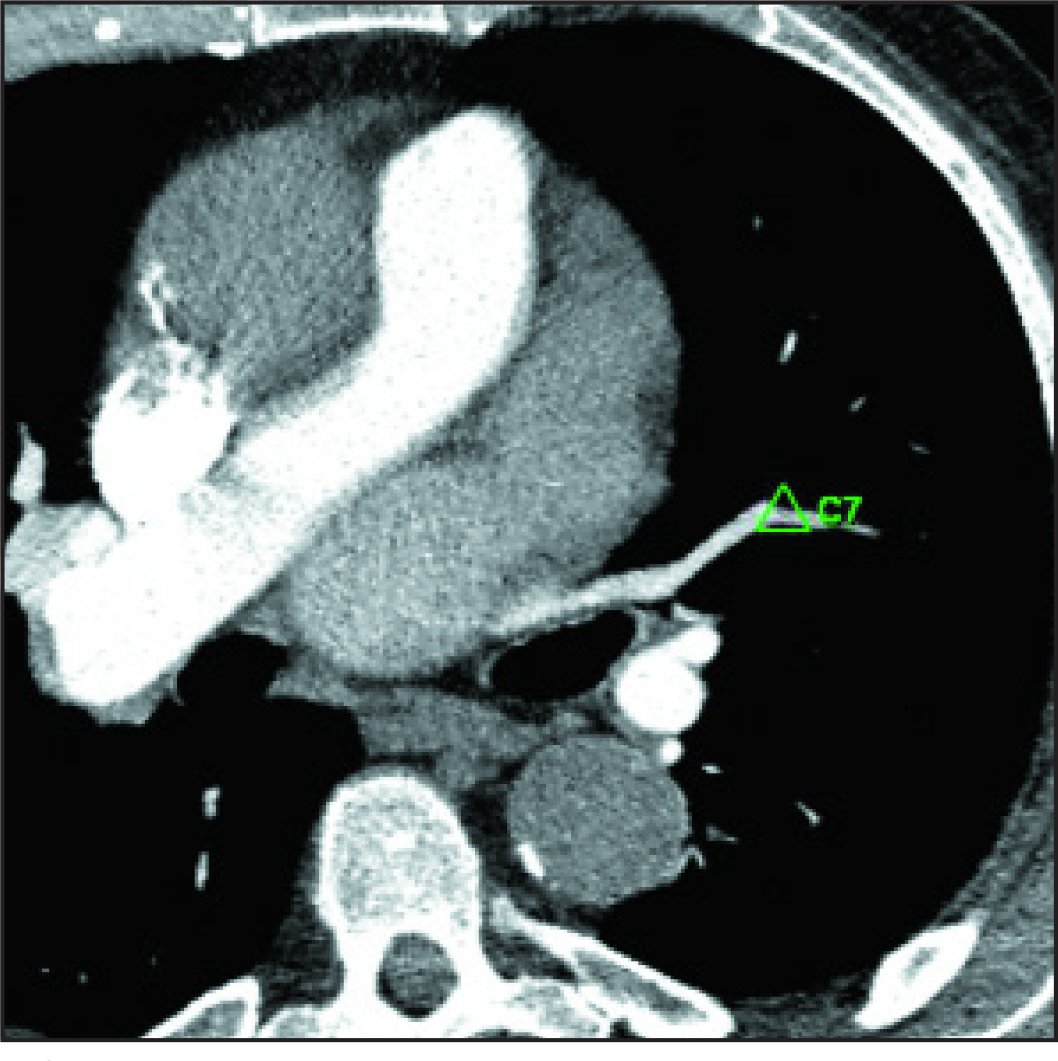 FIGURE 7.