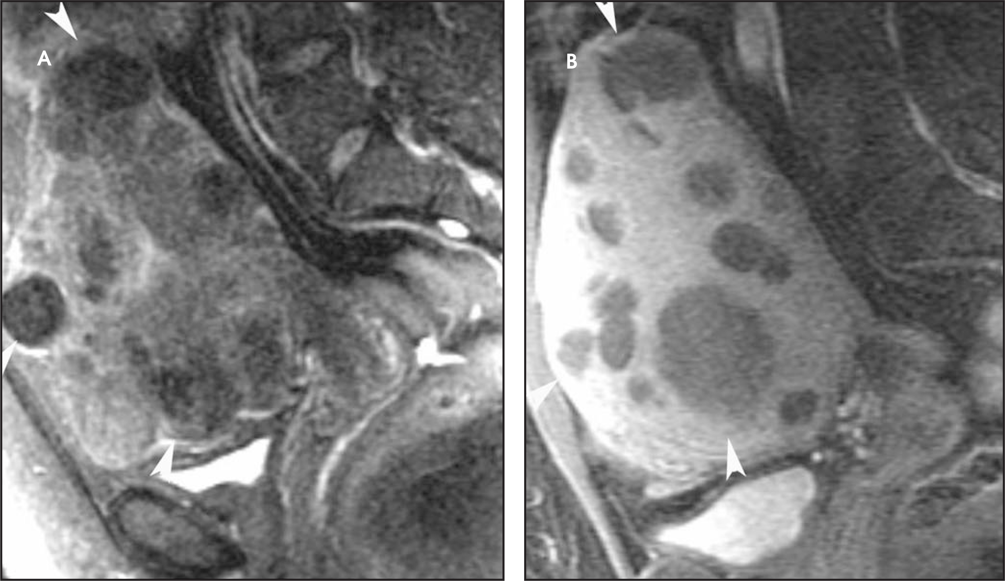 FIGURE 10.