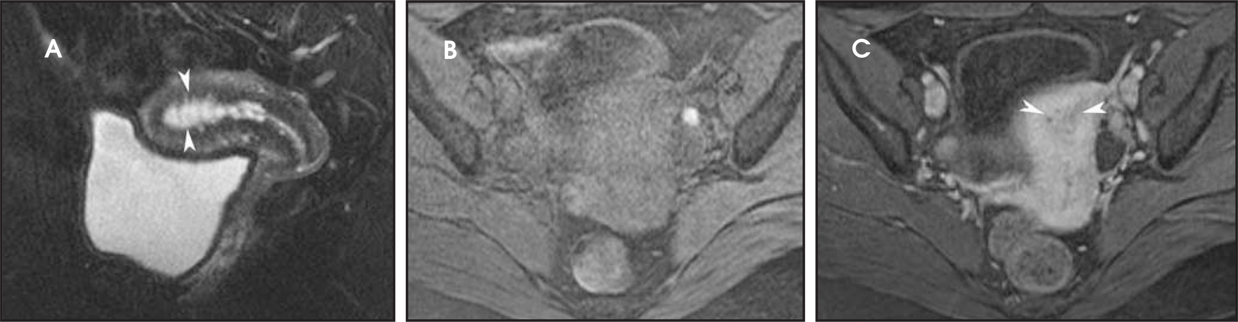 FIGURE 12.