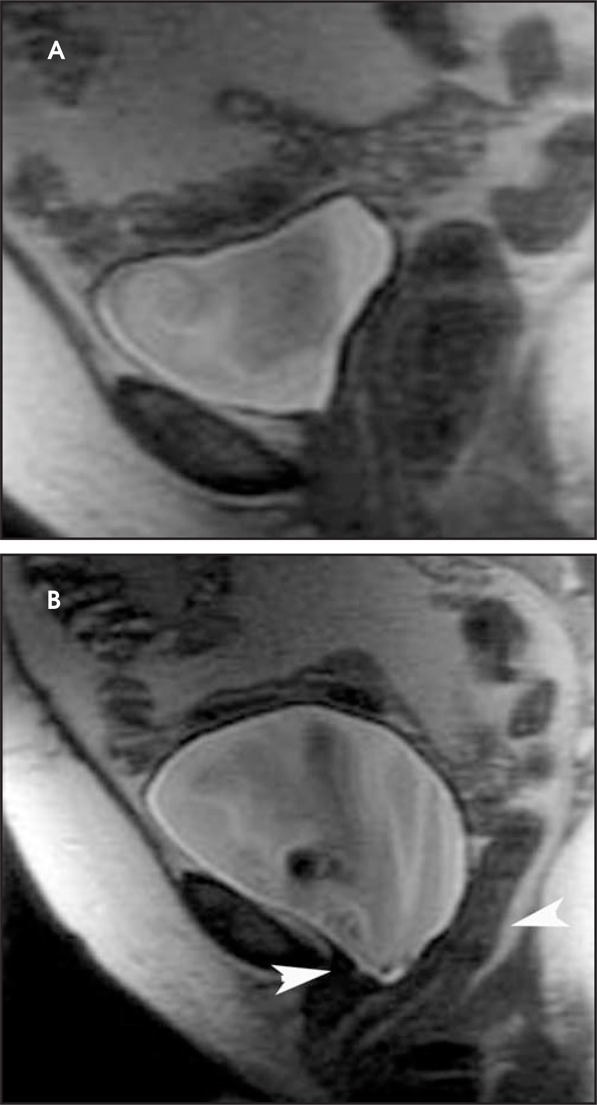 FIGURE 15.