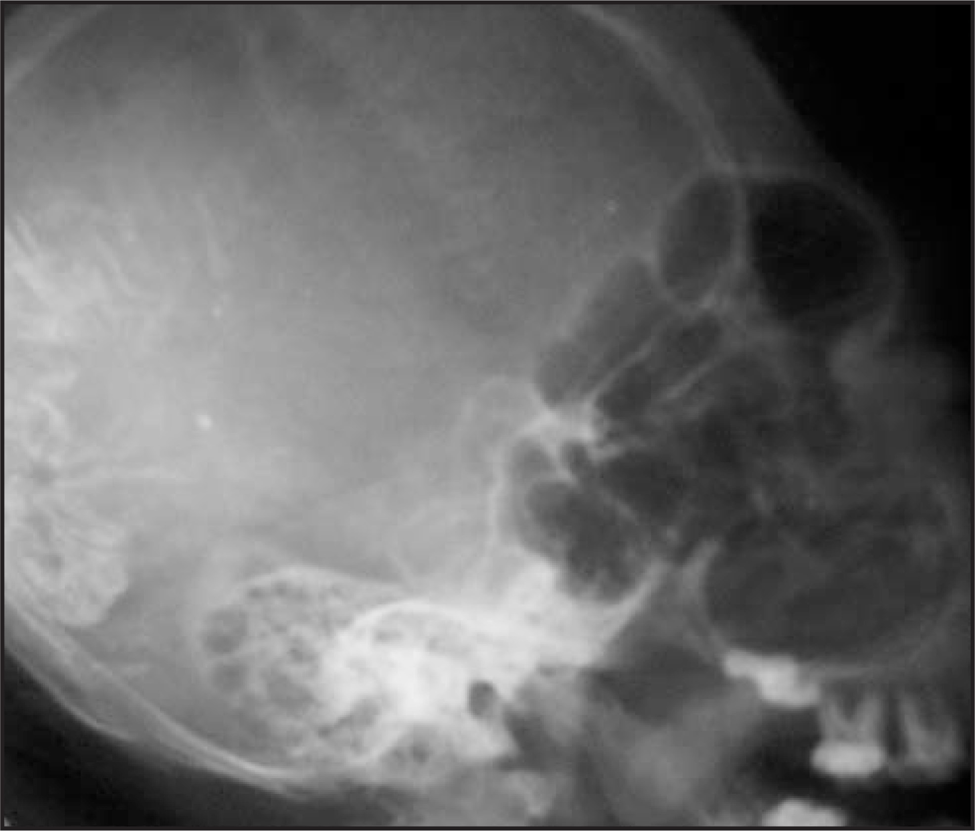 FIGURE 1.