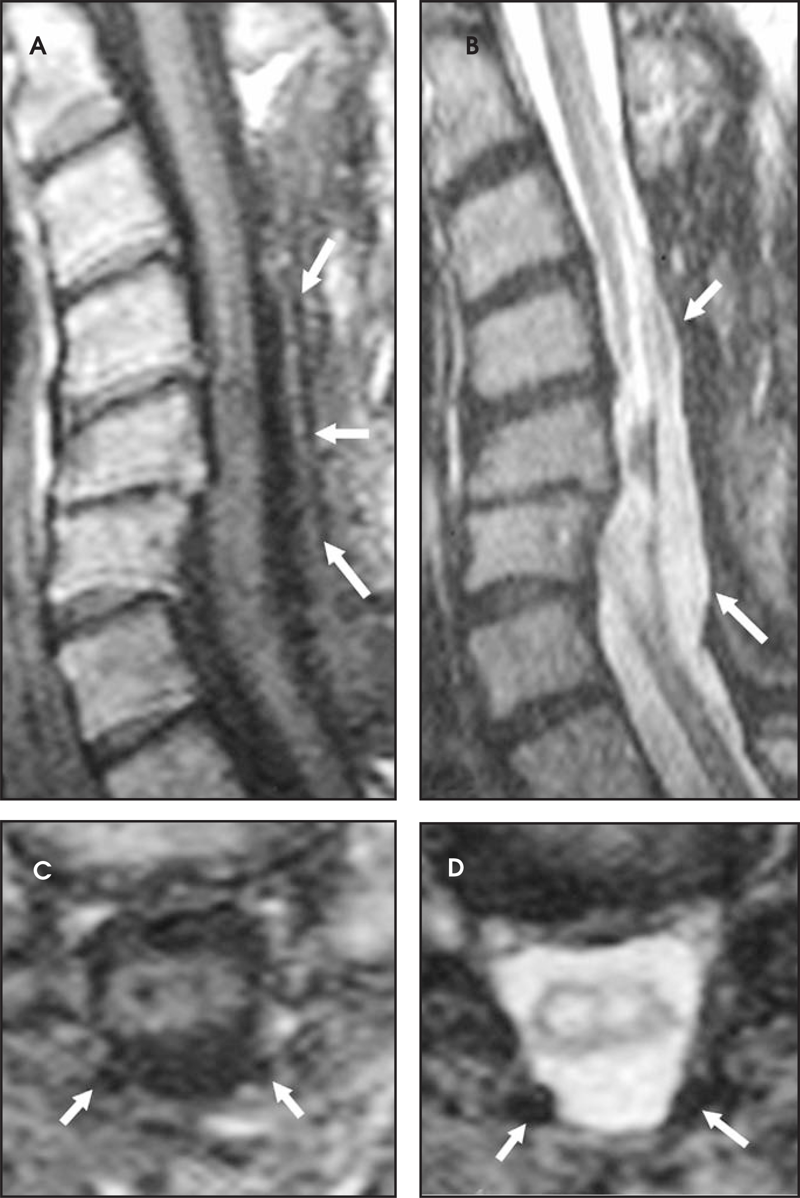 FIGURE 10.