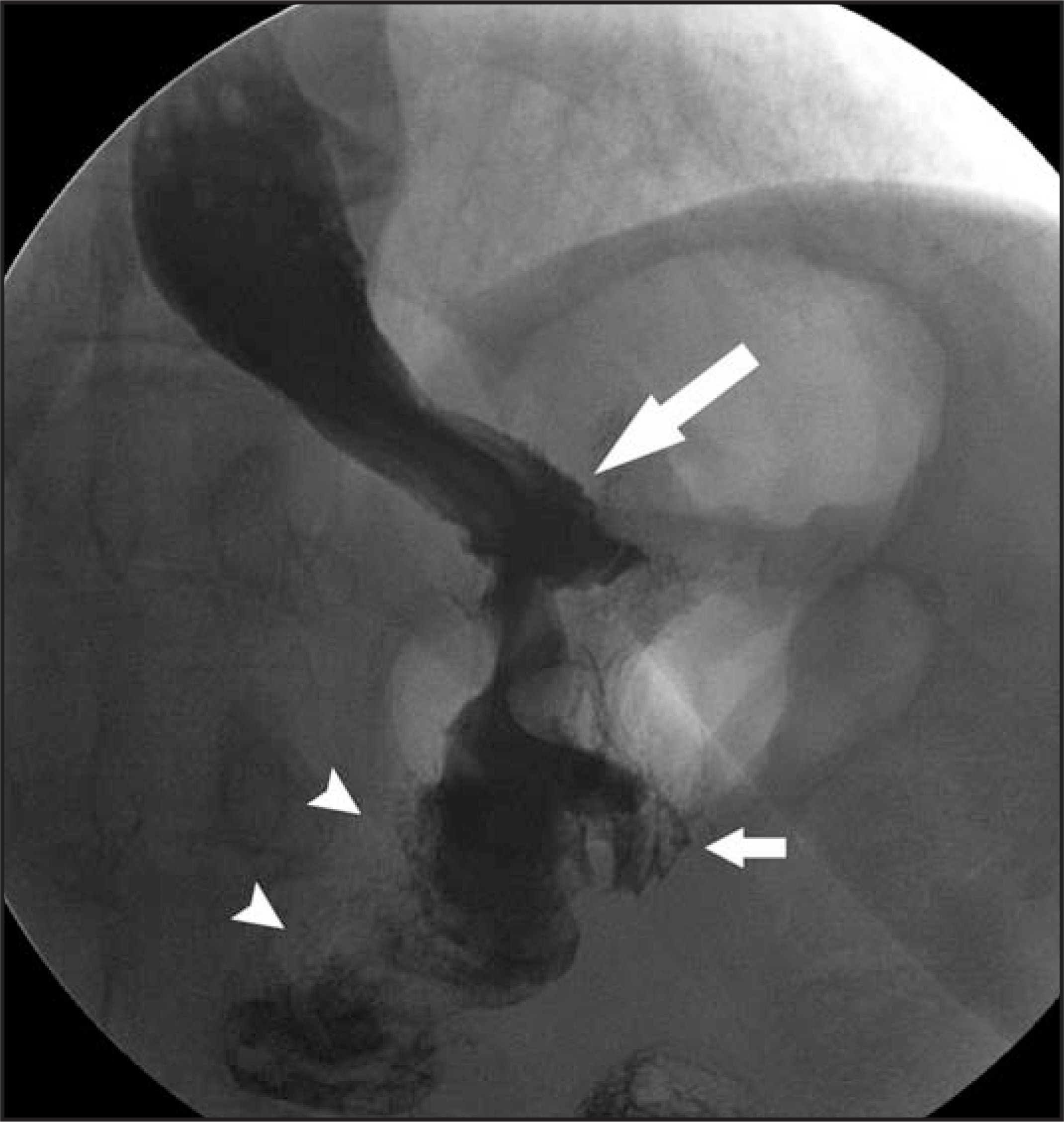 FIGURE 2.