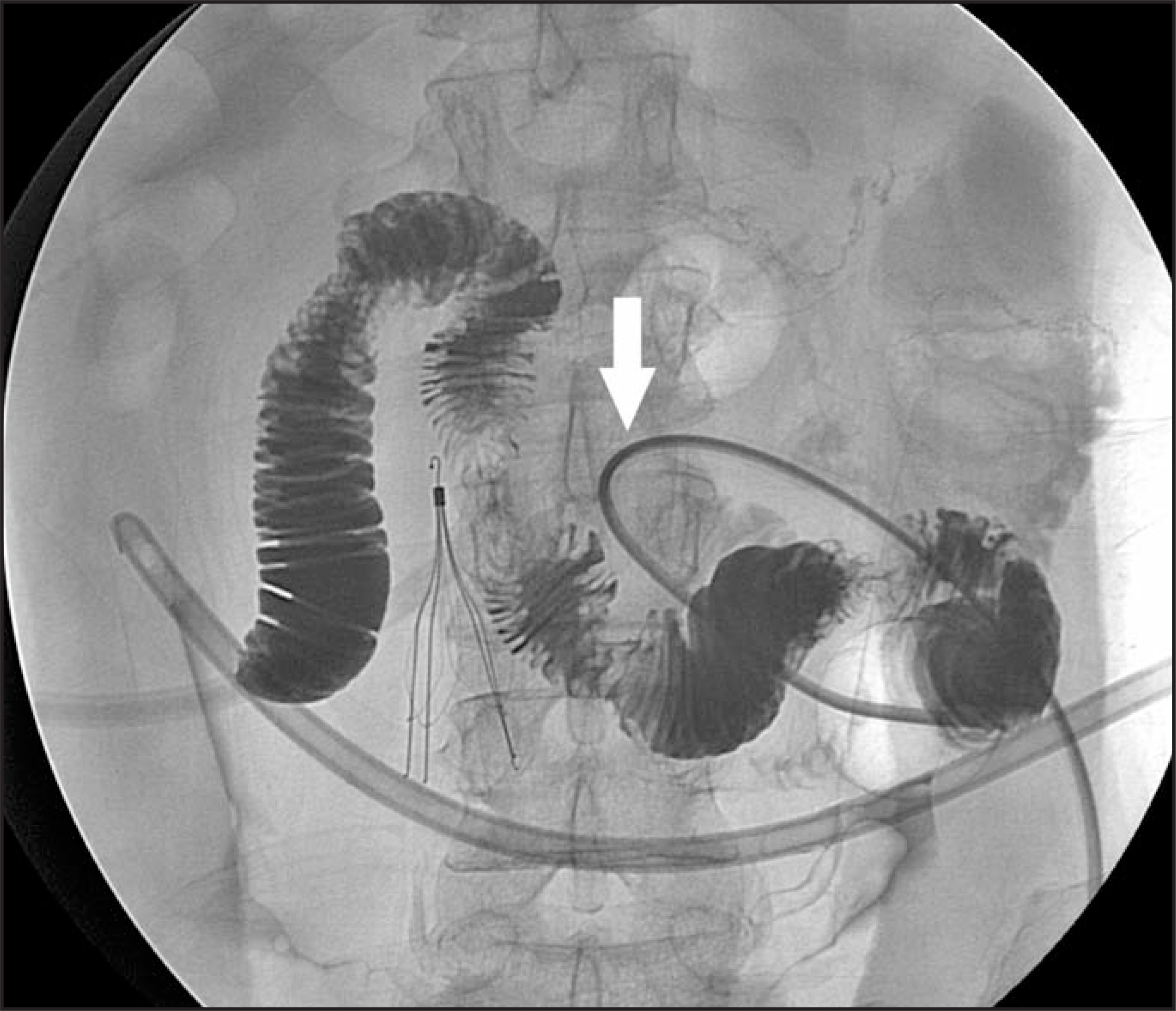 FIGURE 6.