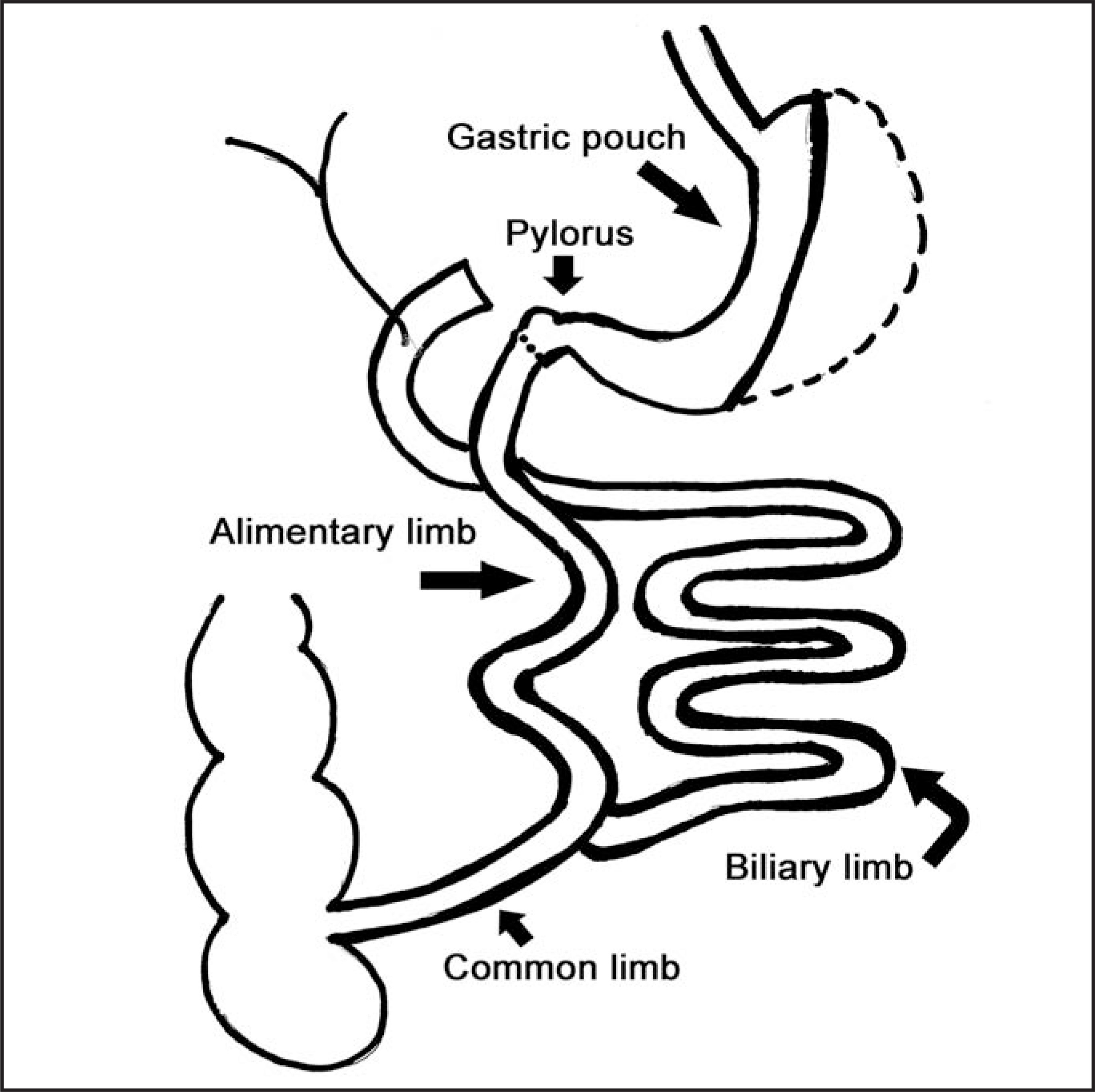 FIGURE 9.