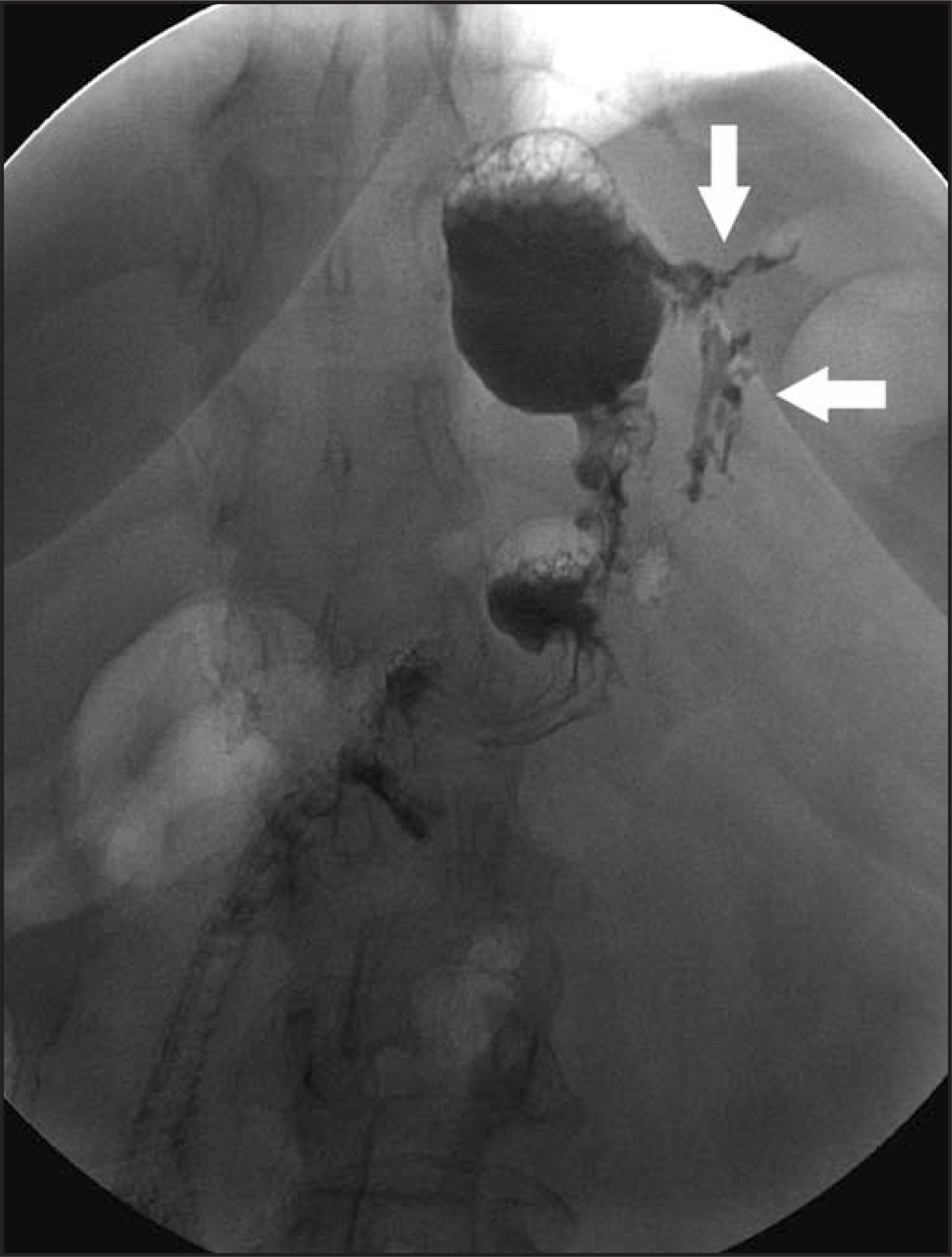 FIGURE 12.
