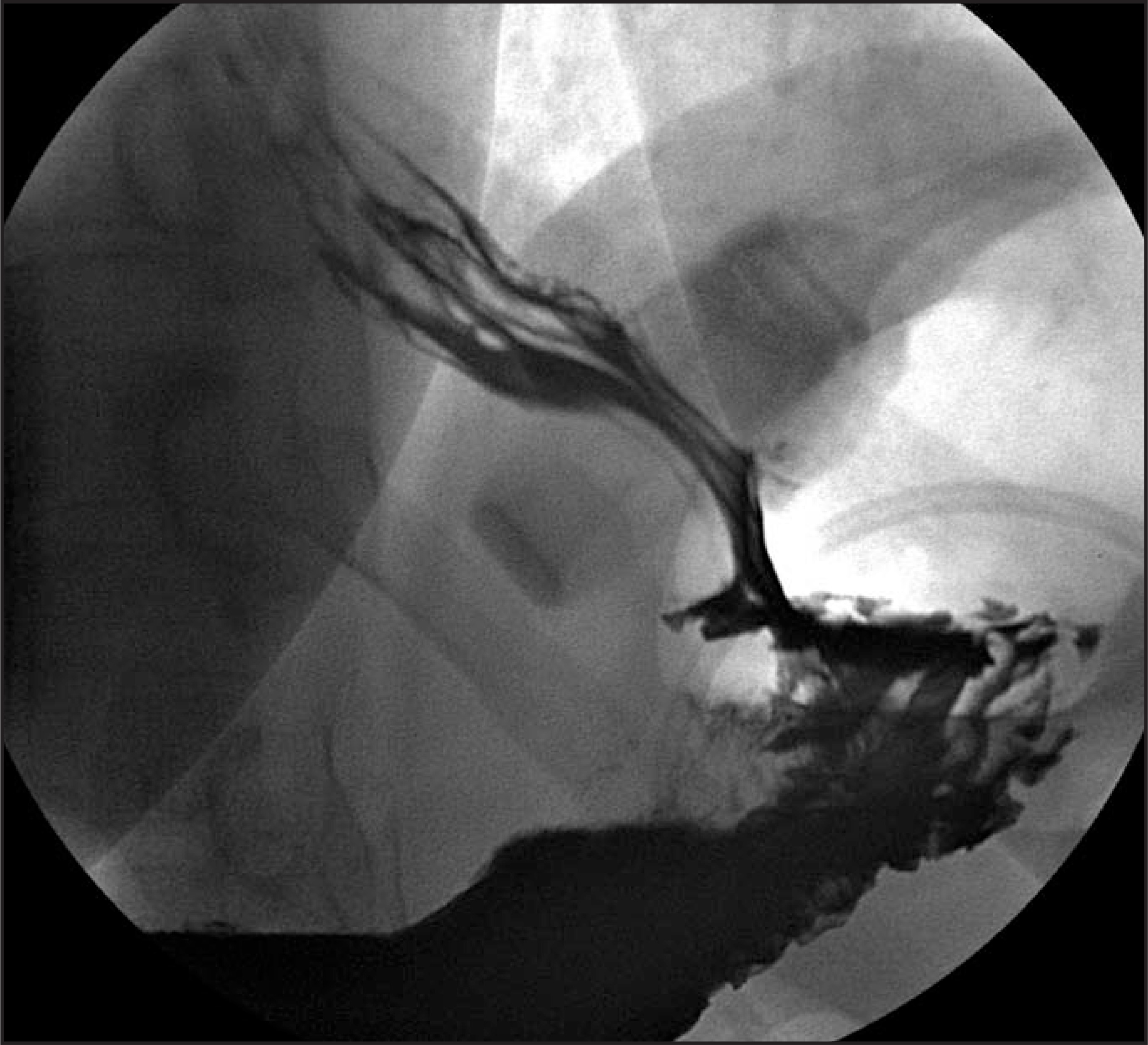 FIGURE 15.