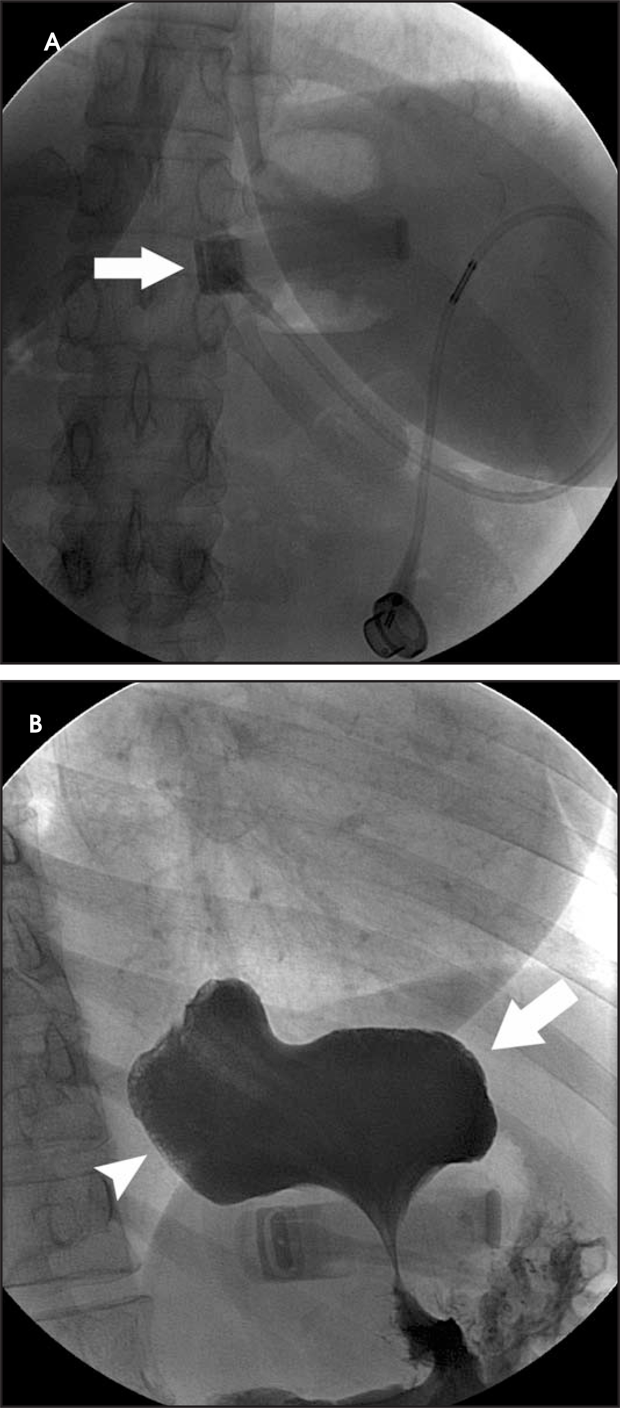 FIGURE 16.