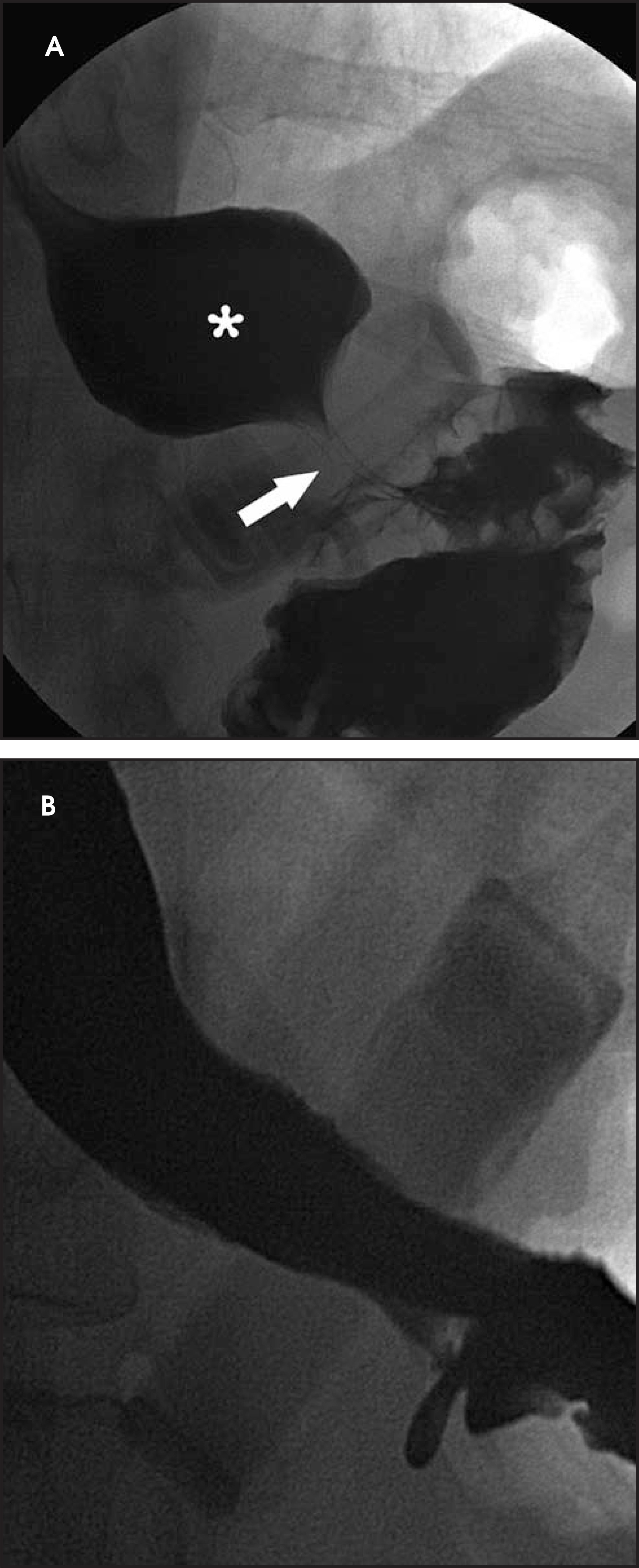 FIGURE 17.