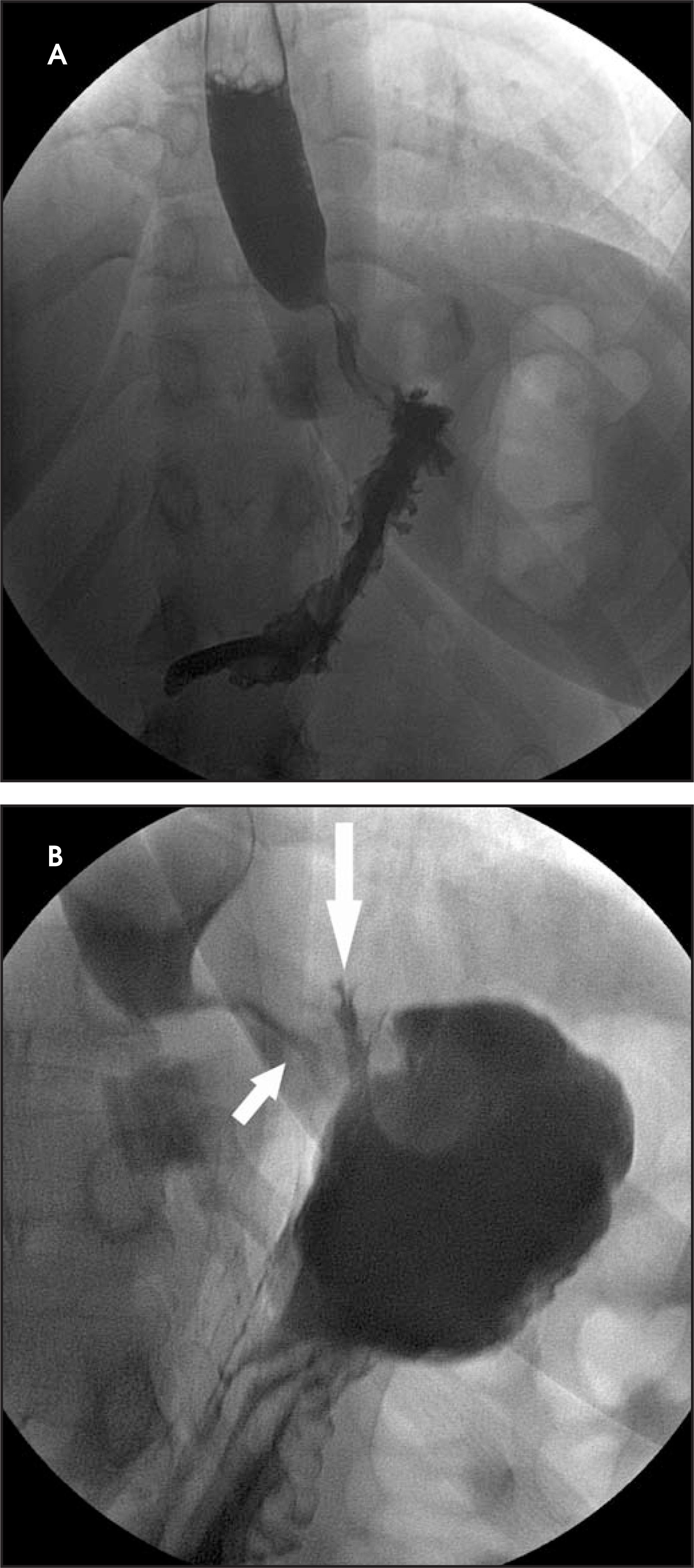 FIGURE 19.