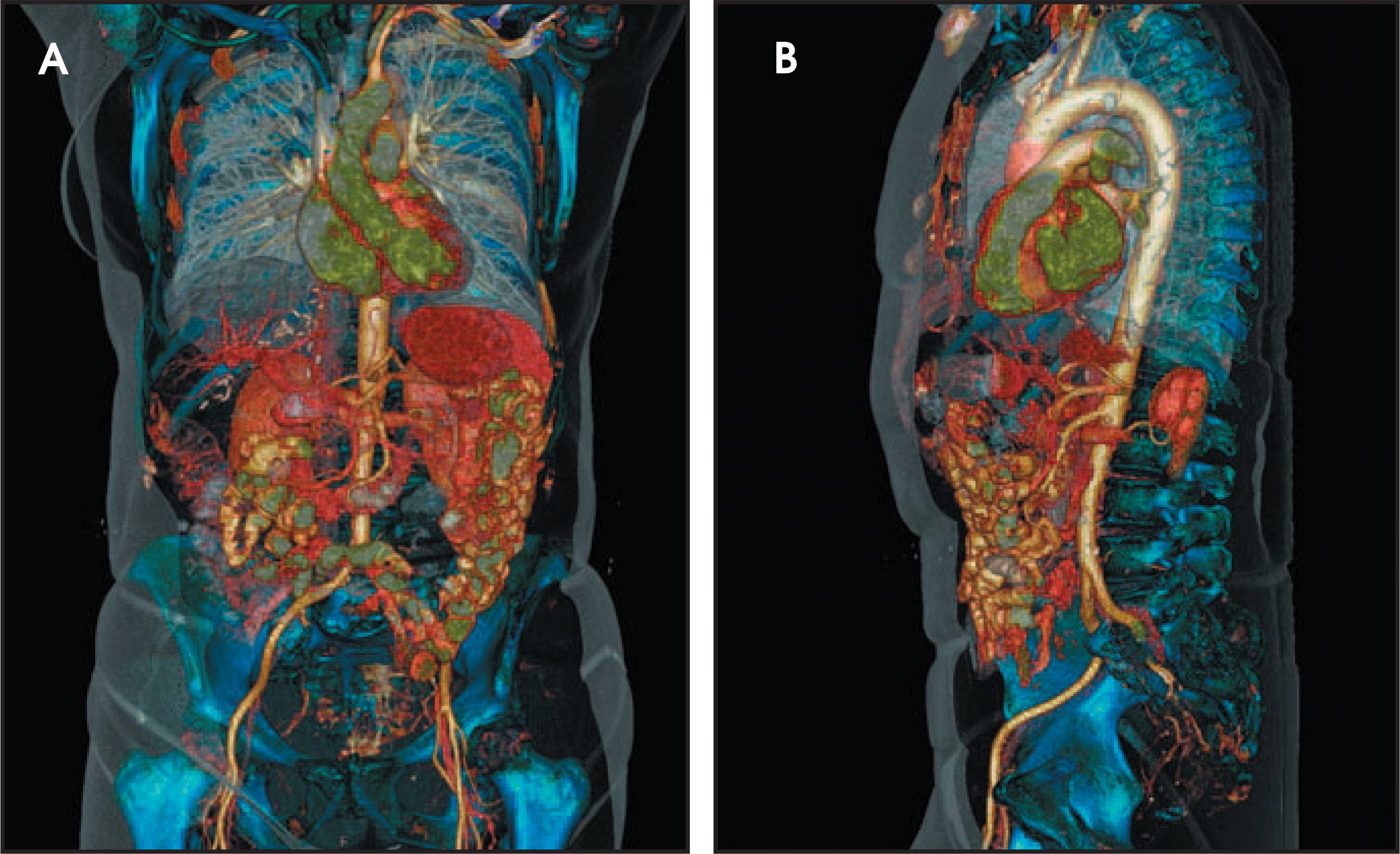 FIGURE 1.