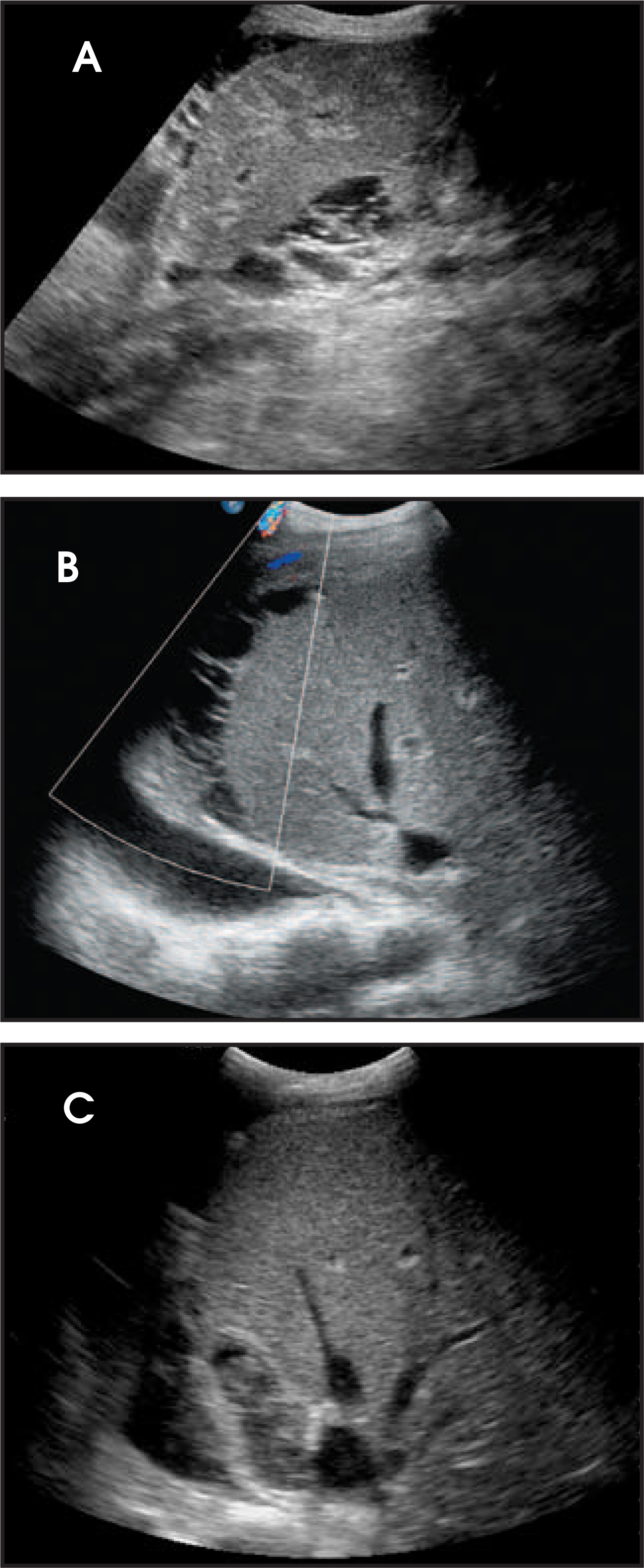 FIGURE 2.