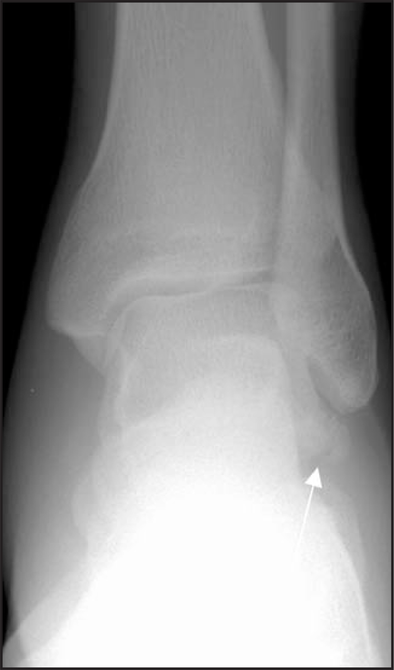 FIGURE 1.