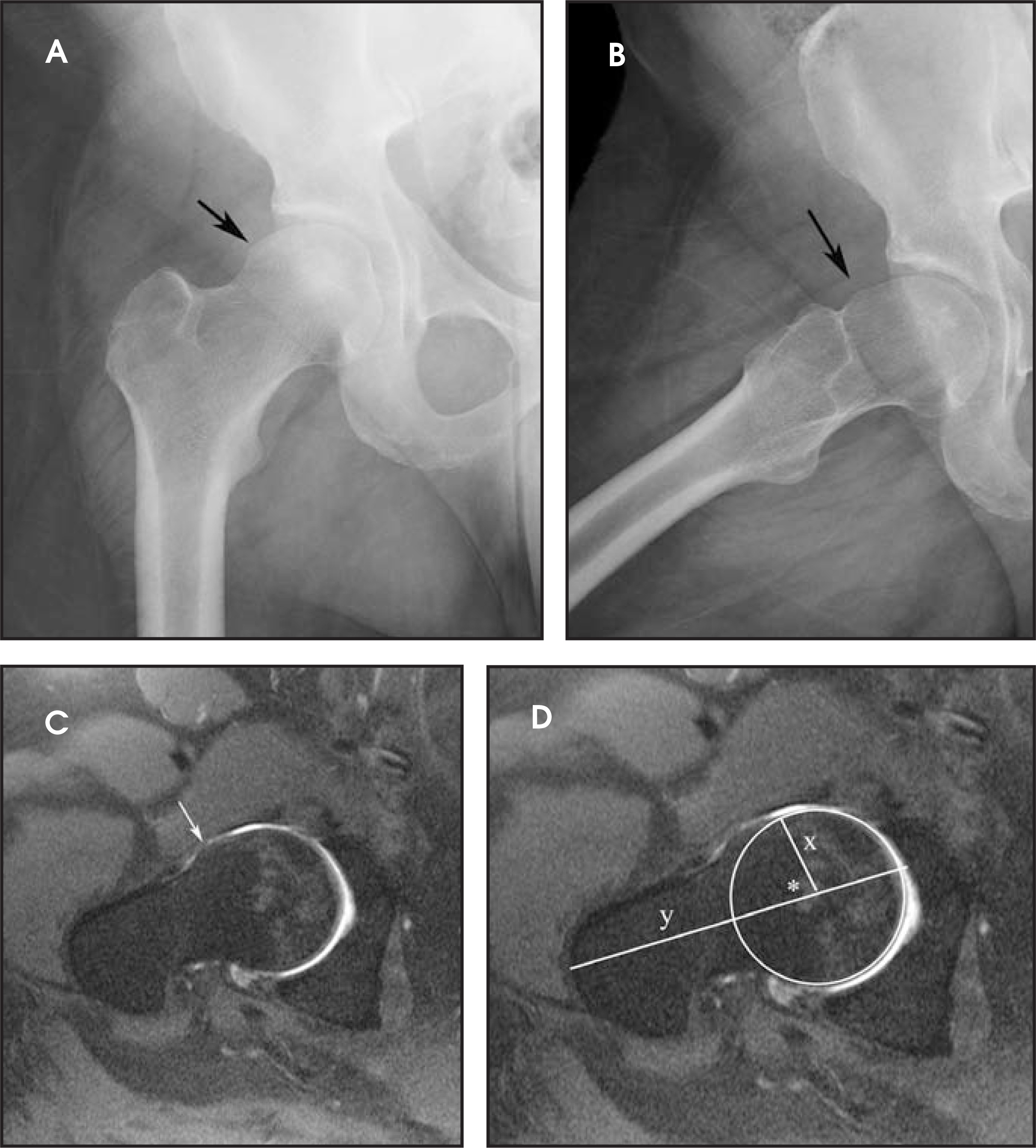 FIGURE 1.