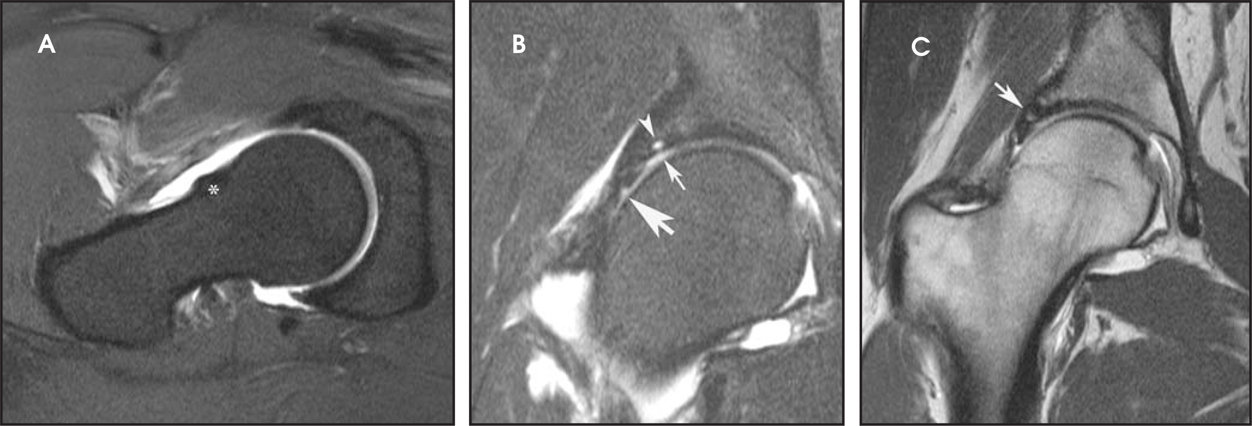 FIGURE 4.