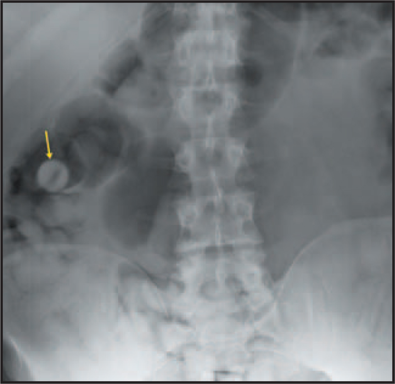 FIGURE 1.