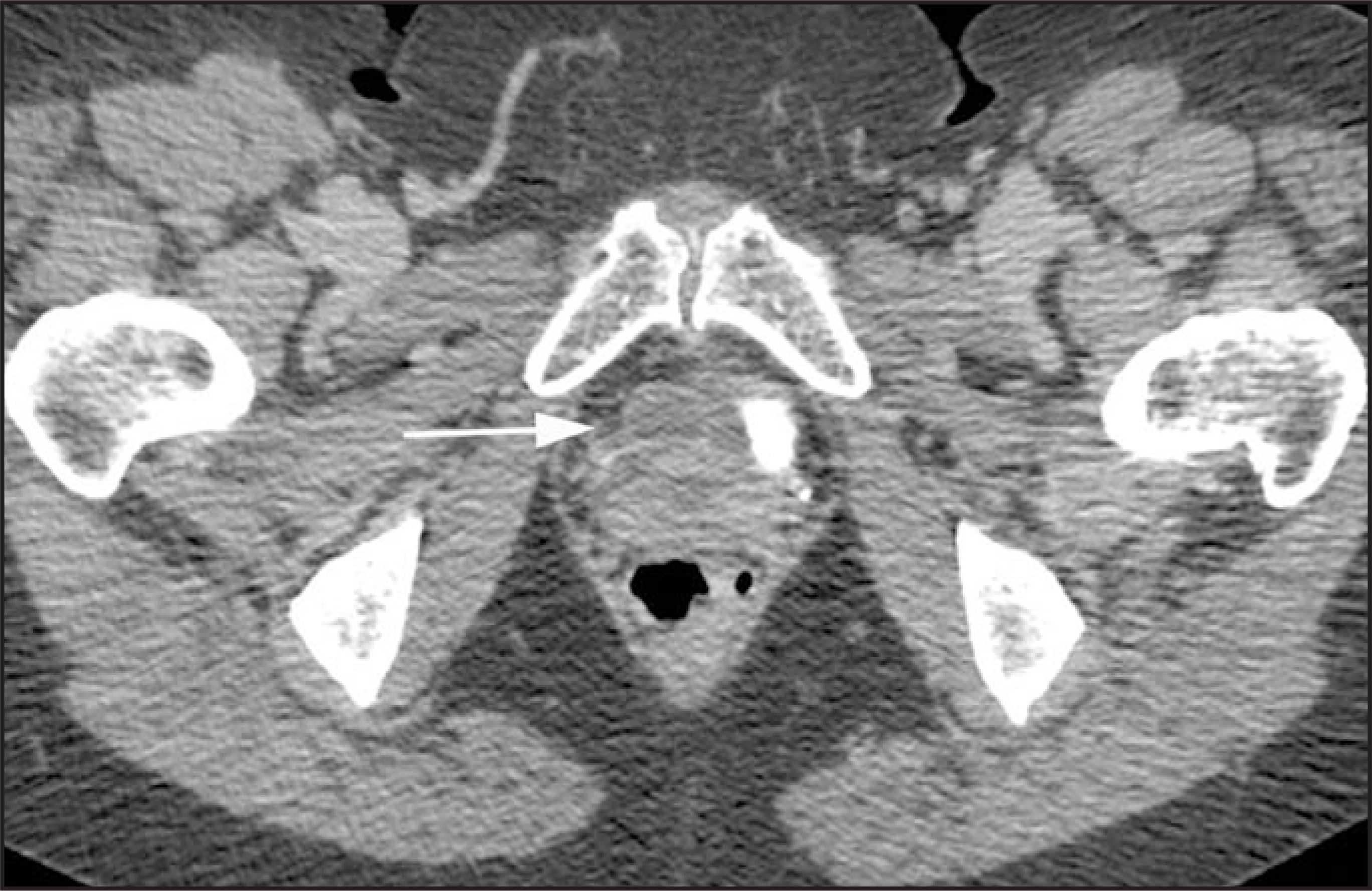 FIGURE 1.