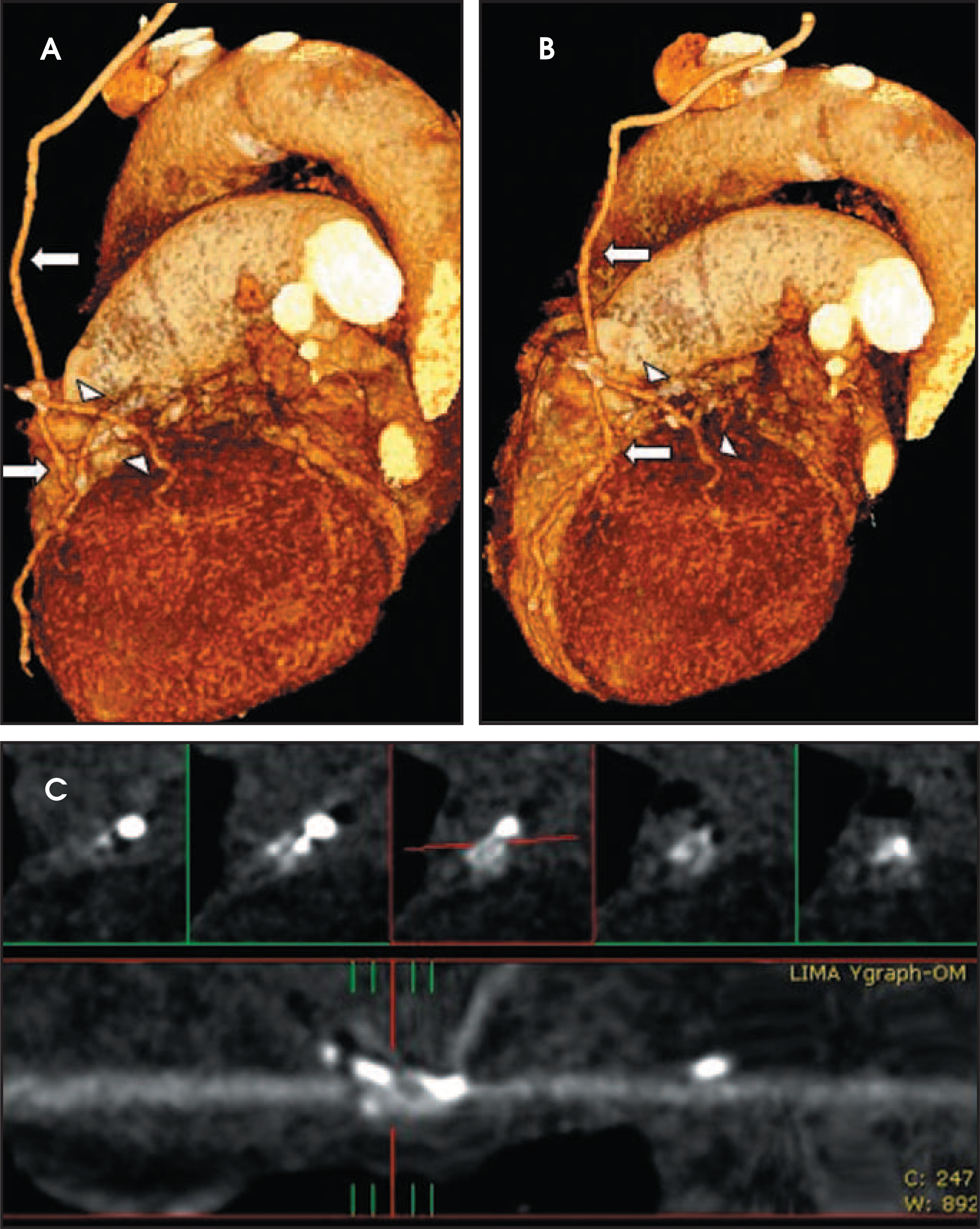 FIGURE 4.