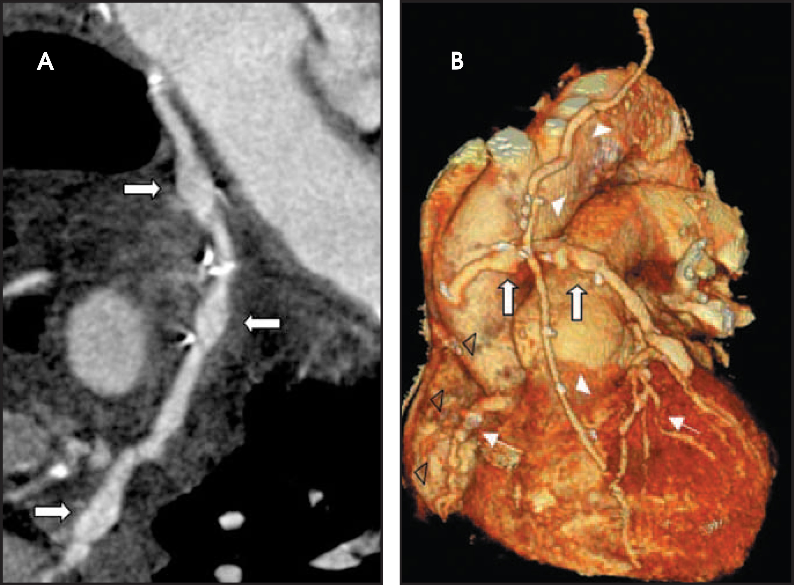 FIGURE 9.