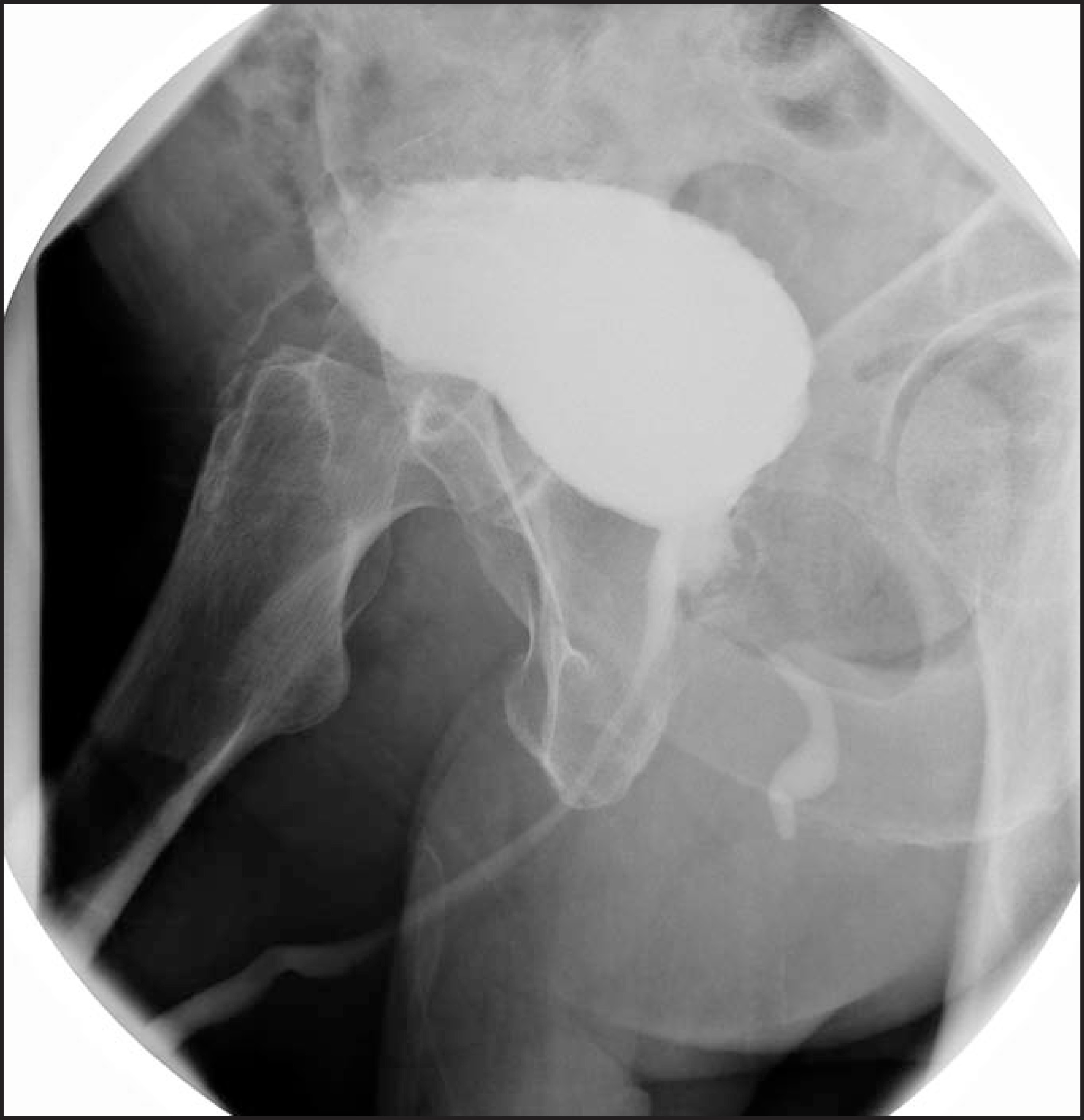 FIGURE 1.
