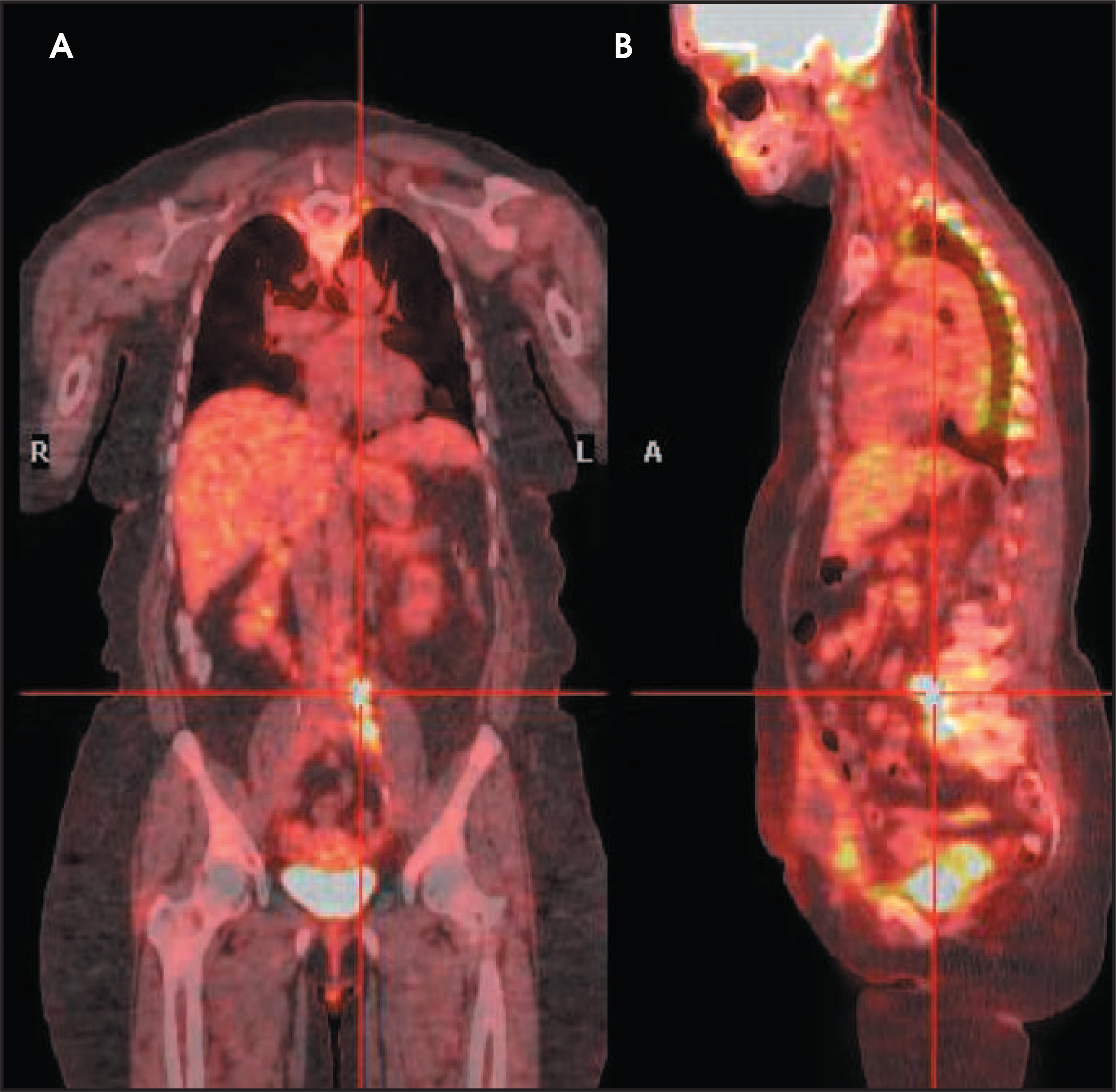 FIGURE 12.