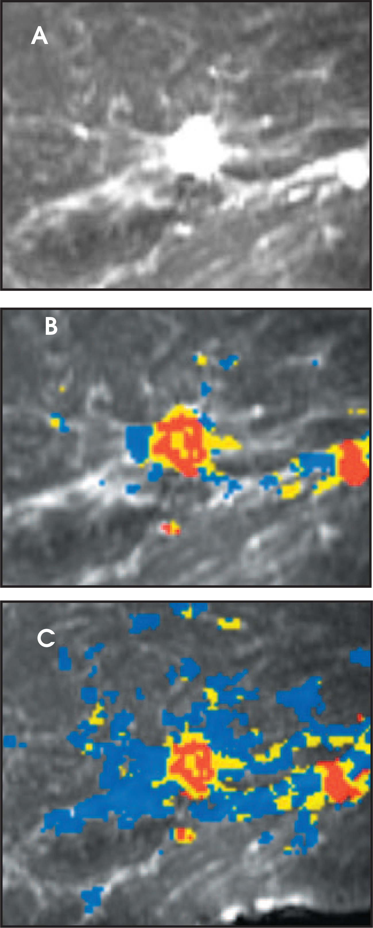 FIGURE 5.